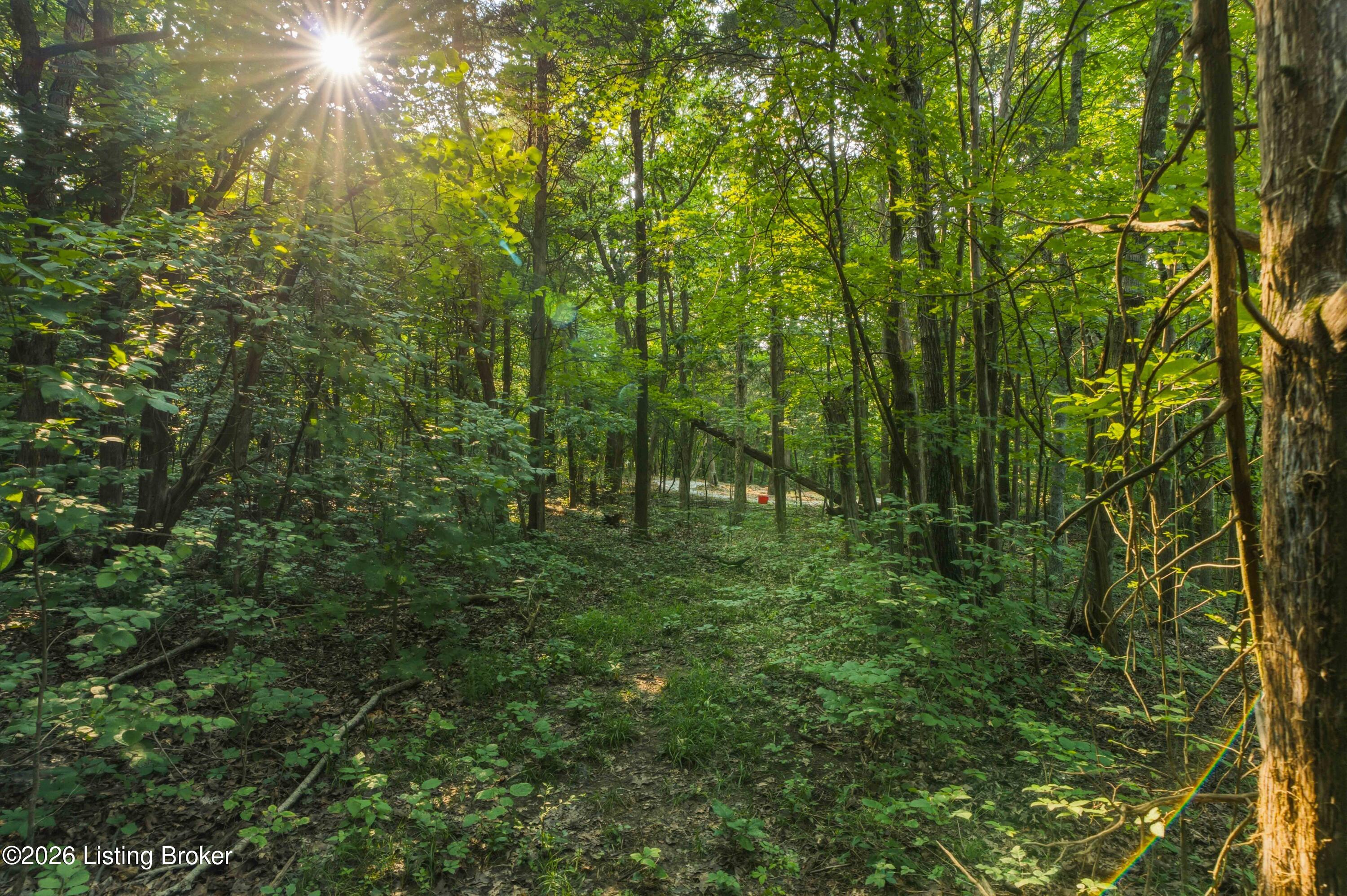 114 Pine Creek Trail Property Photo 98
