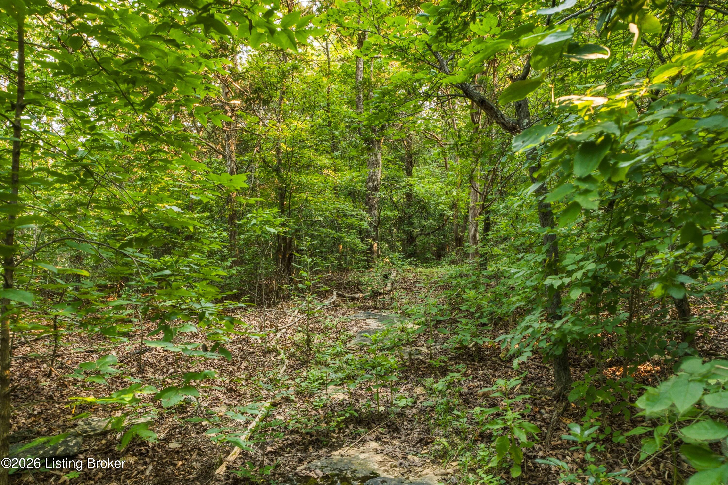114 Pine Creek Trail Property Photo 99