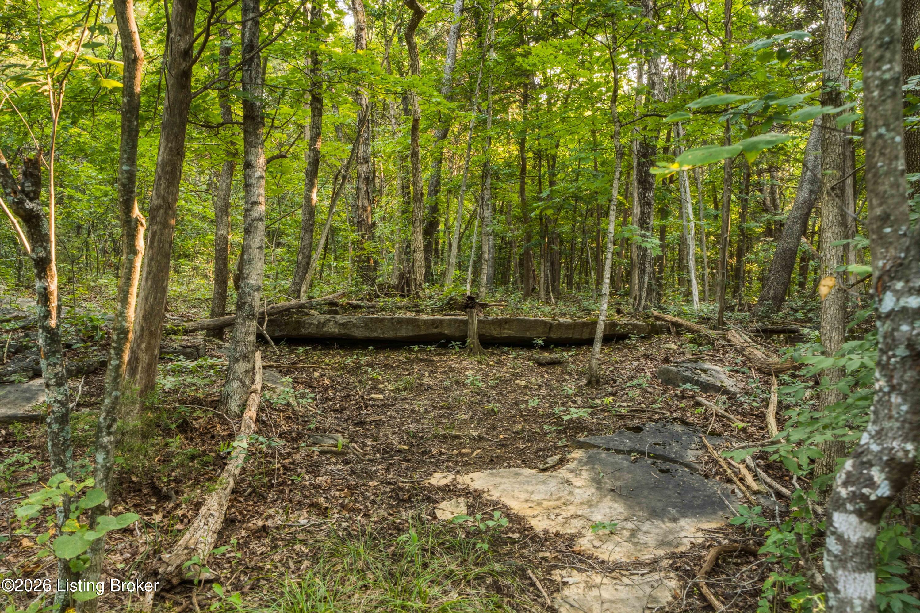 114 Pine Creek Trail Property Photo 100