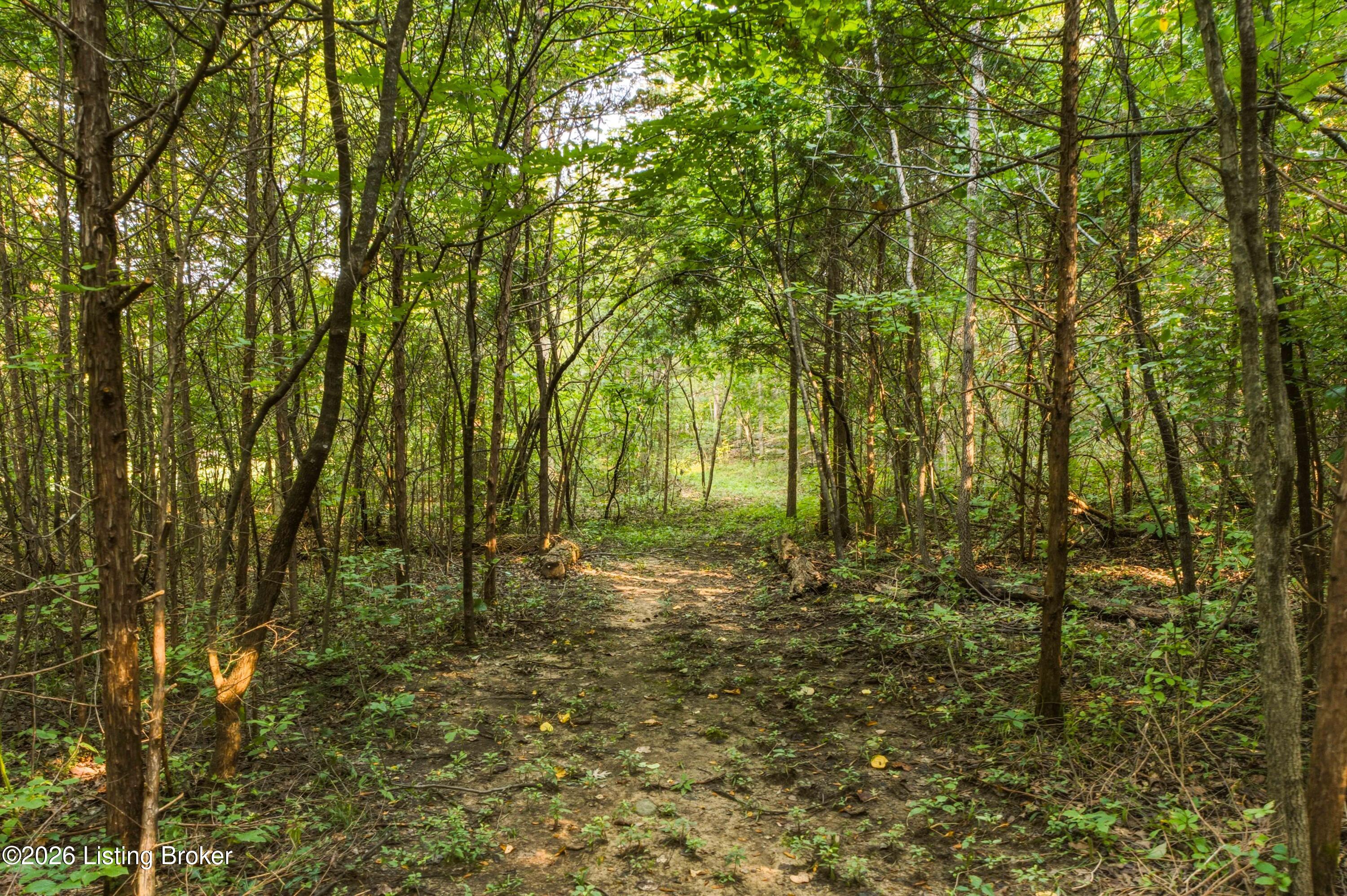 114 Pine Creek Trail Property Photo 101