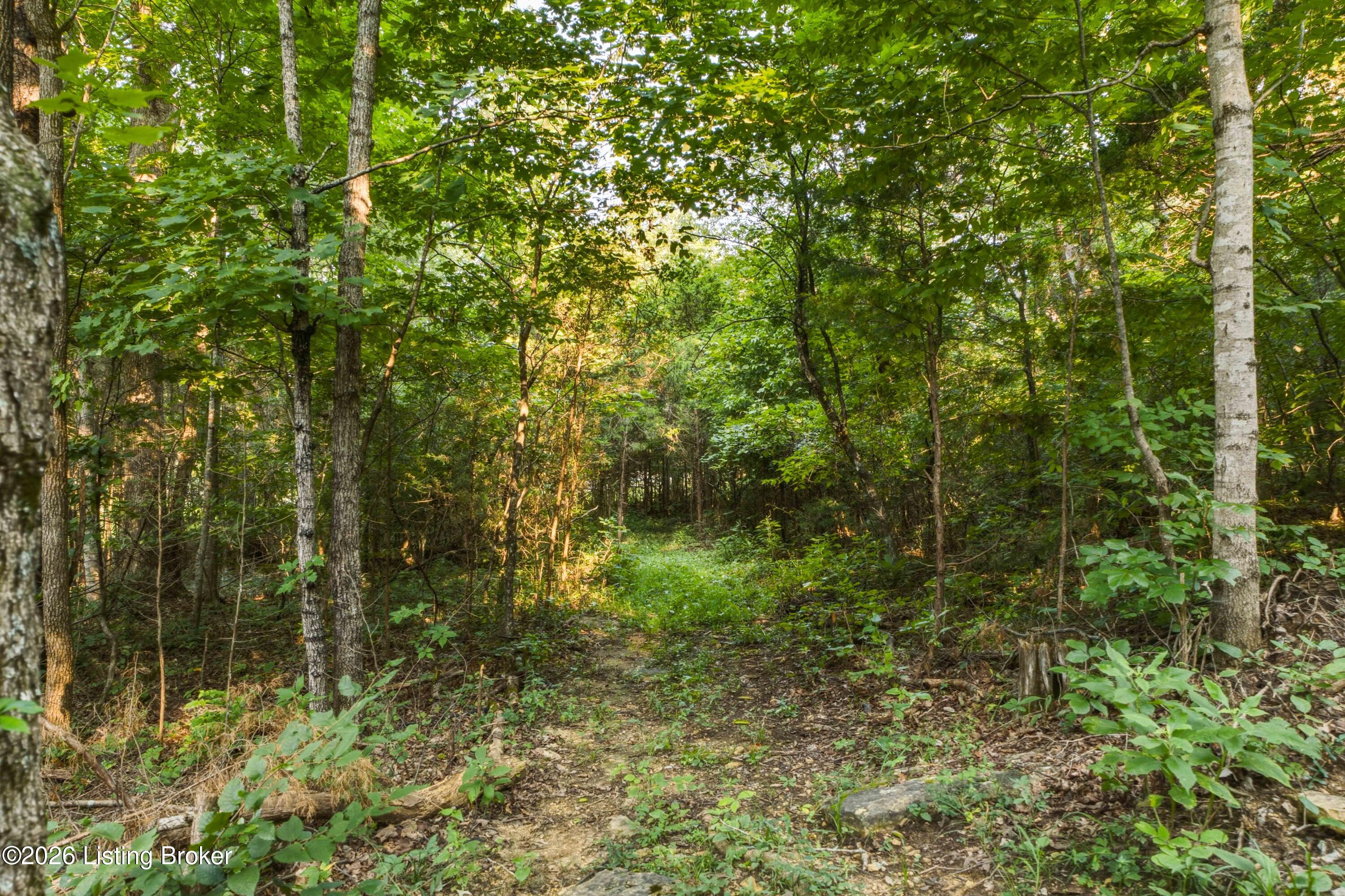 114 Pine Creek Trail Property Photo 102