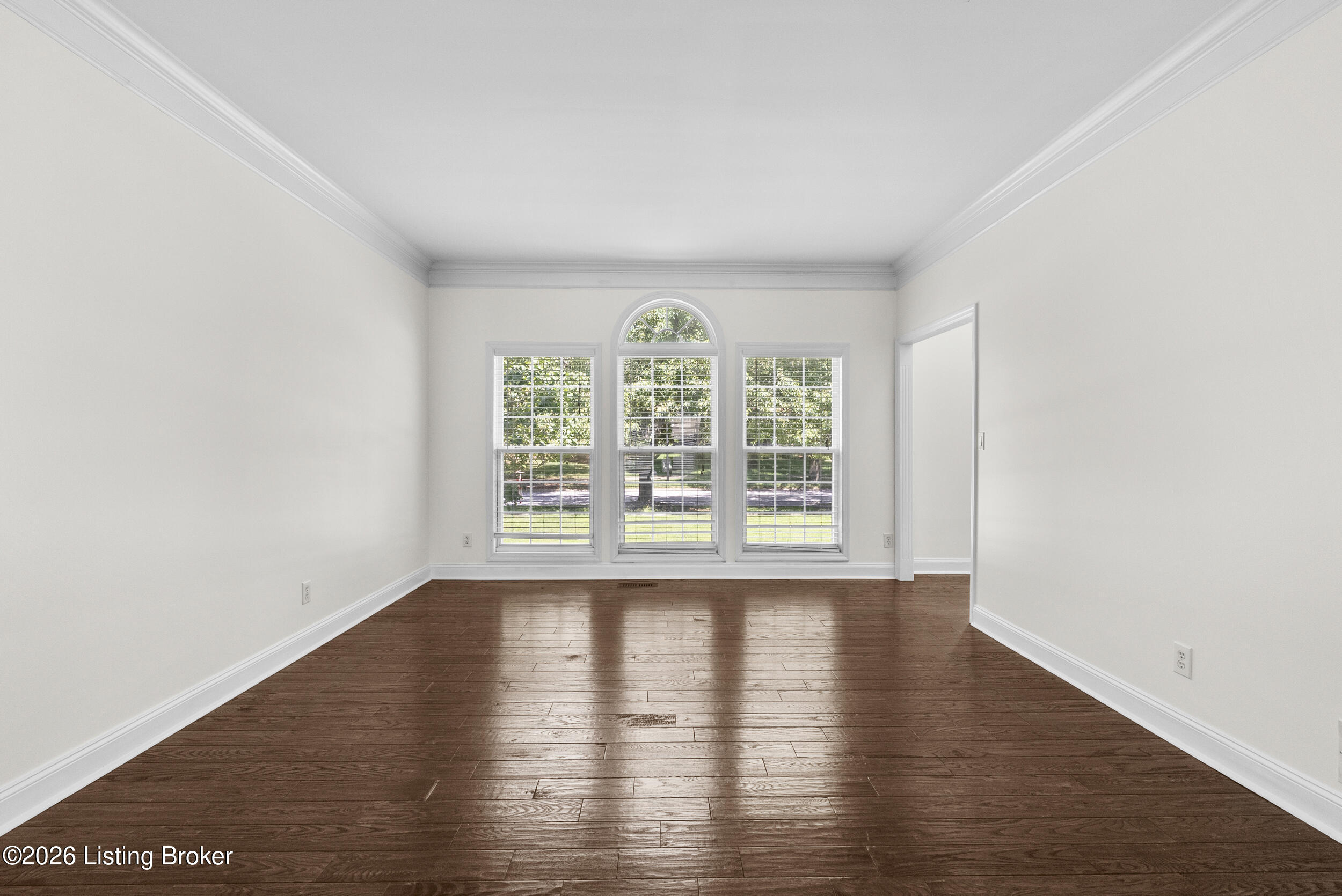 9915 White Blossom Blvd Property Photo 12