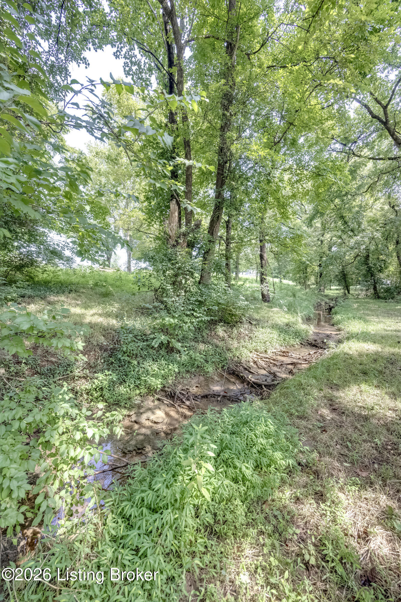 912 Woods Run Rd Property Photo 14