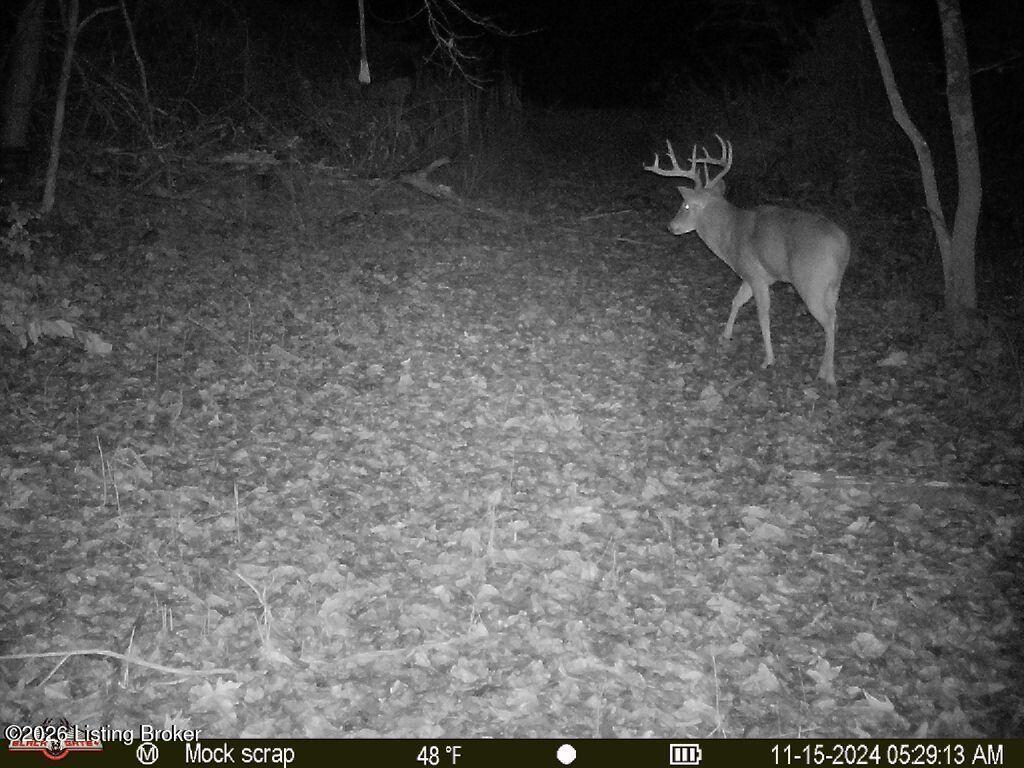 0 865 Hwy Property Photo 20