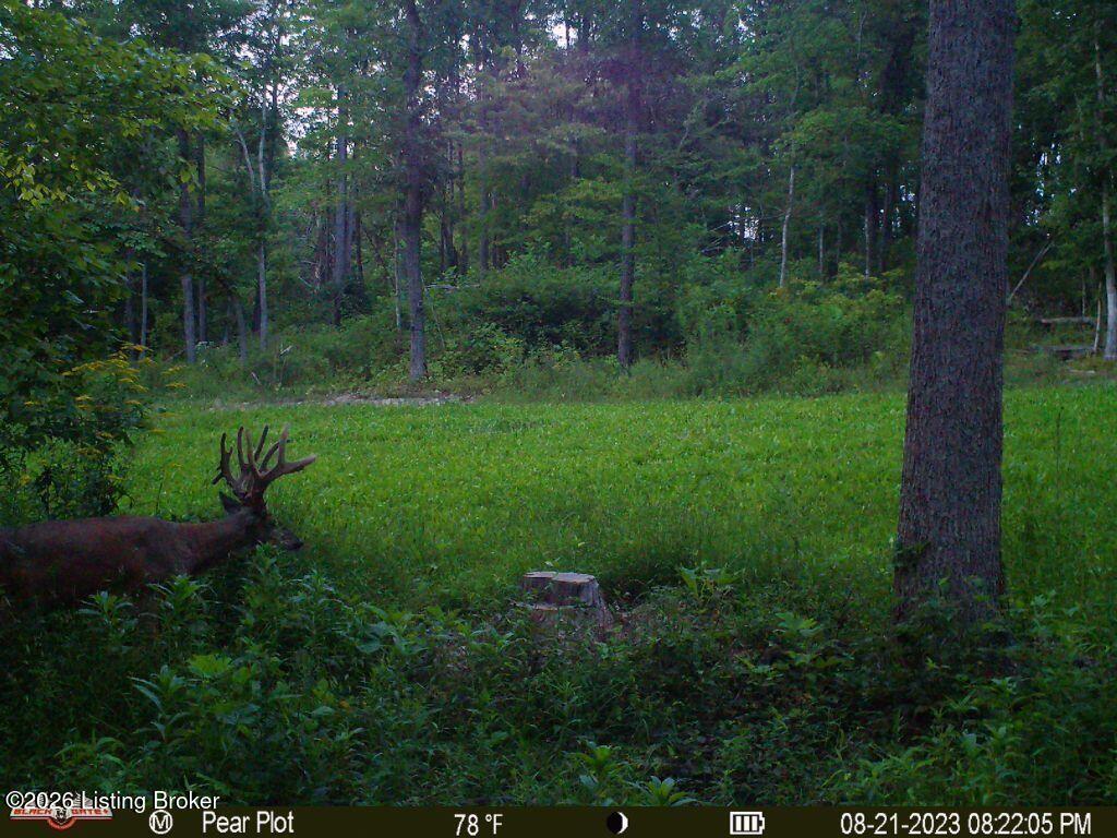 0 865 Hwy Property Photo 24