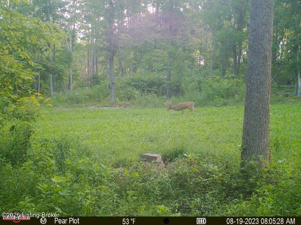 0 865 Hwy Property Photo 25