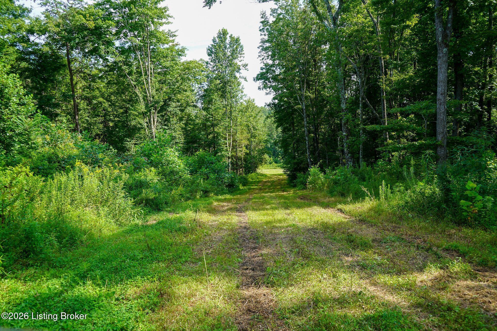 0 865 Hwy Property Photo 31