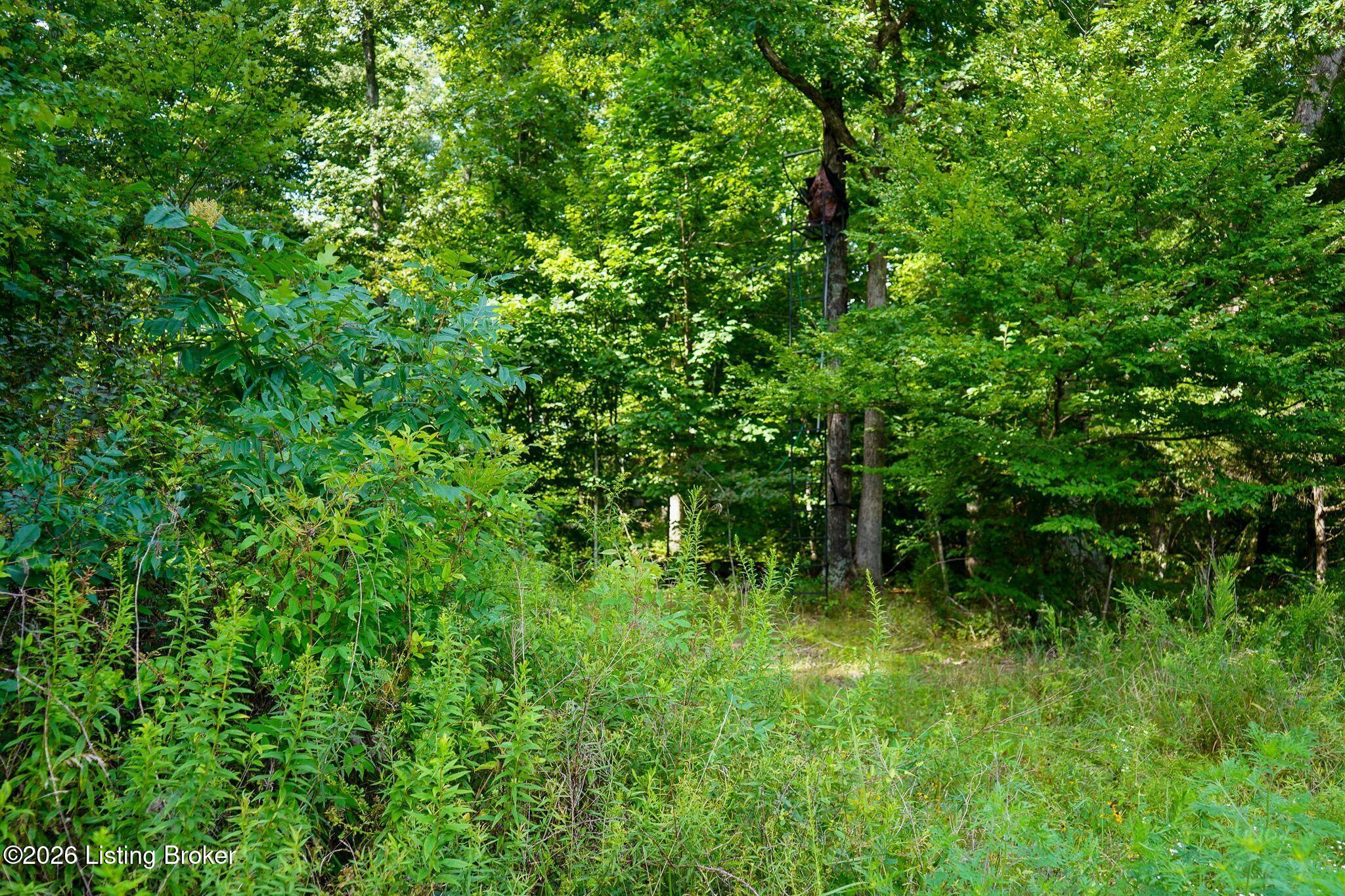 0 865 Hwy Property Photo 36
