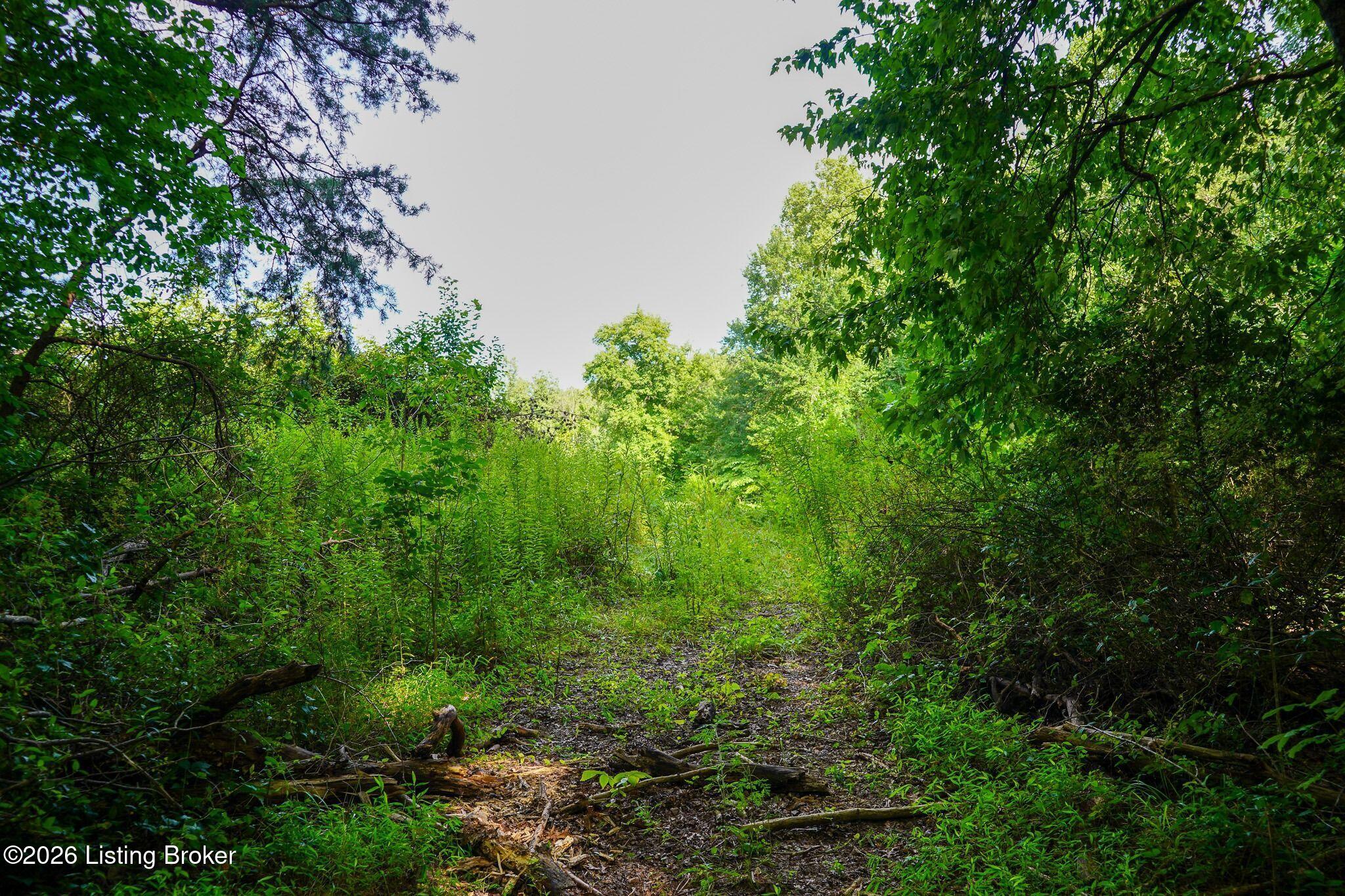 0 865 Hwy Property Photo 37