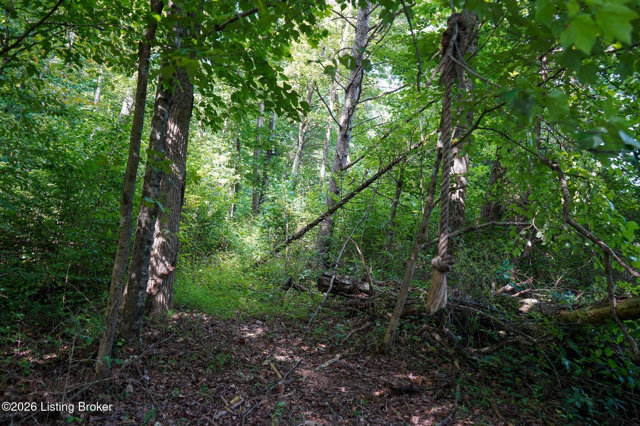 0 865 Hwy Property Photo 38