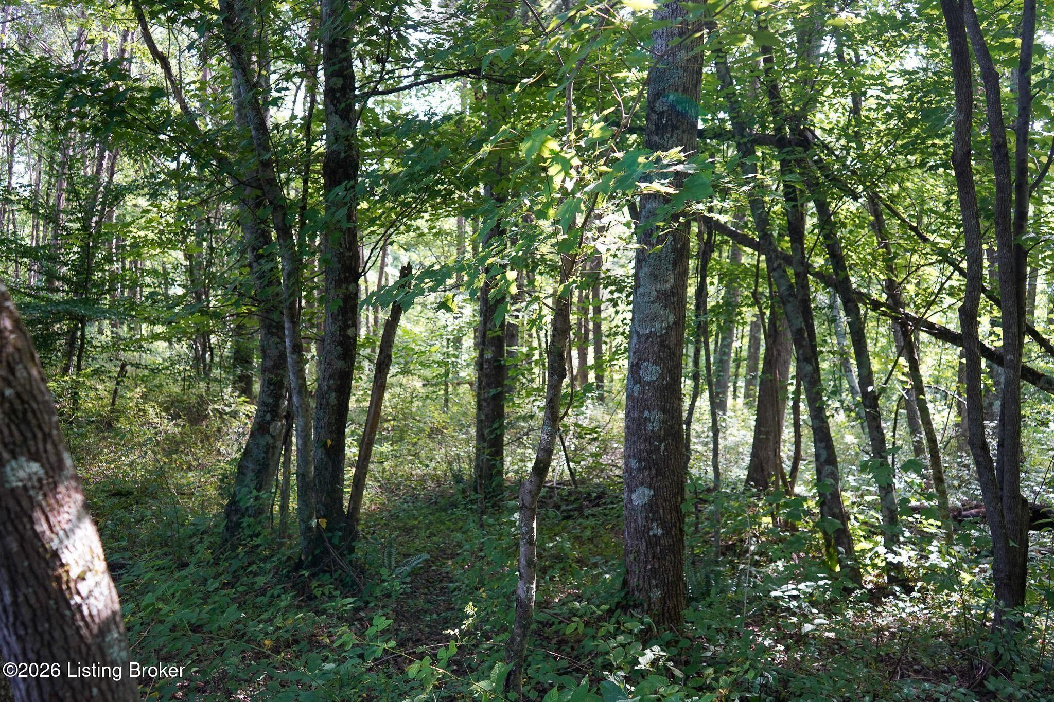0 865 Hwy Property Photo 39