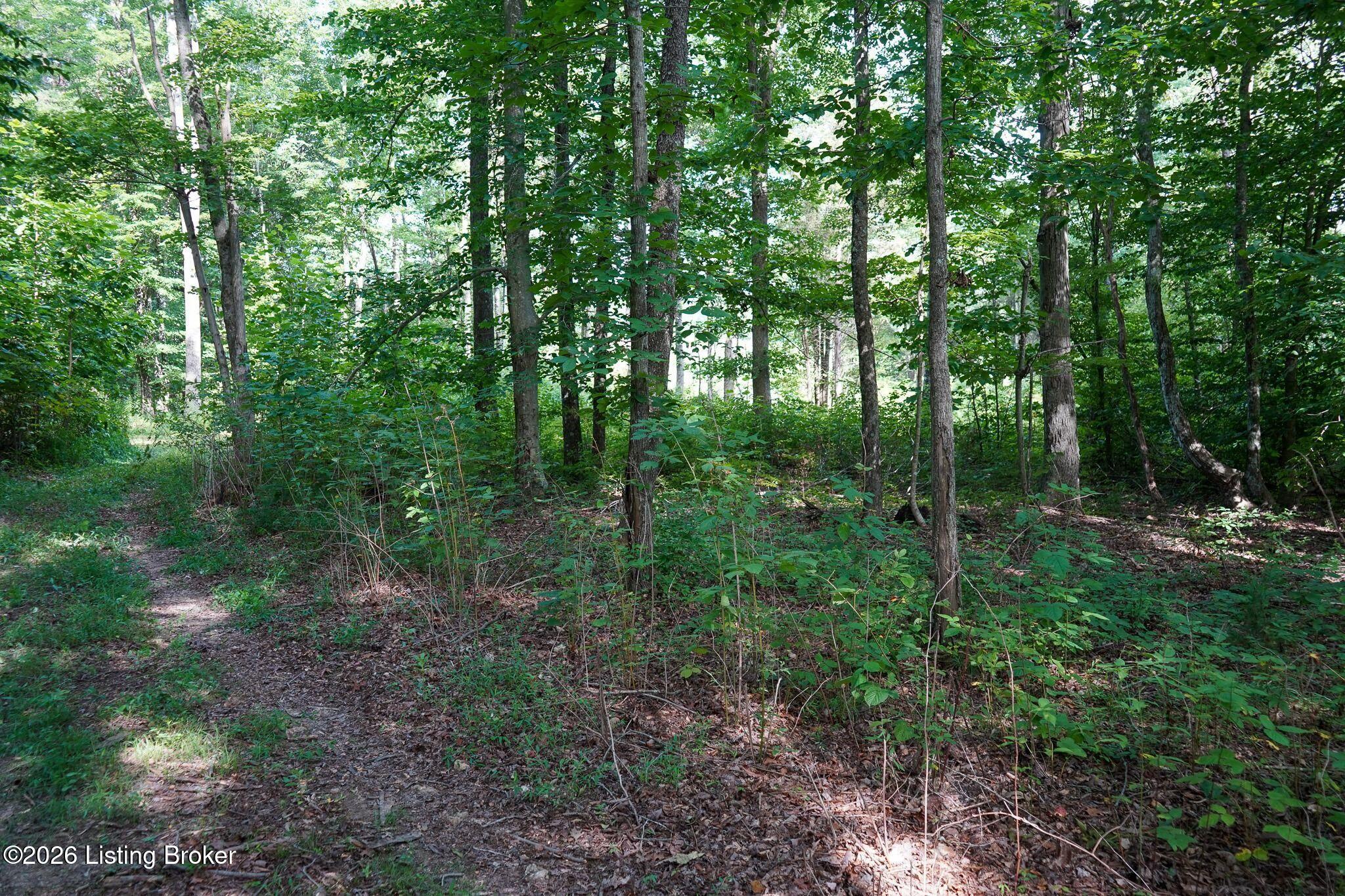 0 865 Hwy Property Photo 45