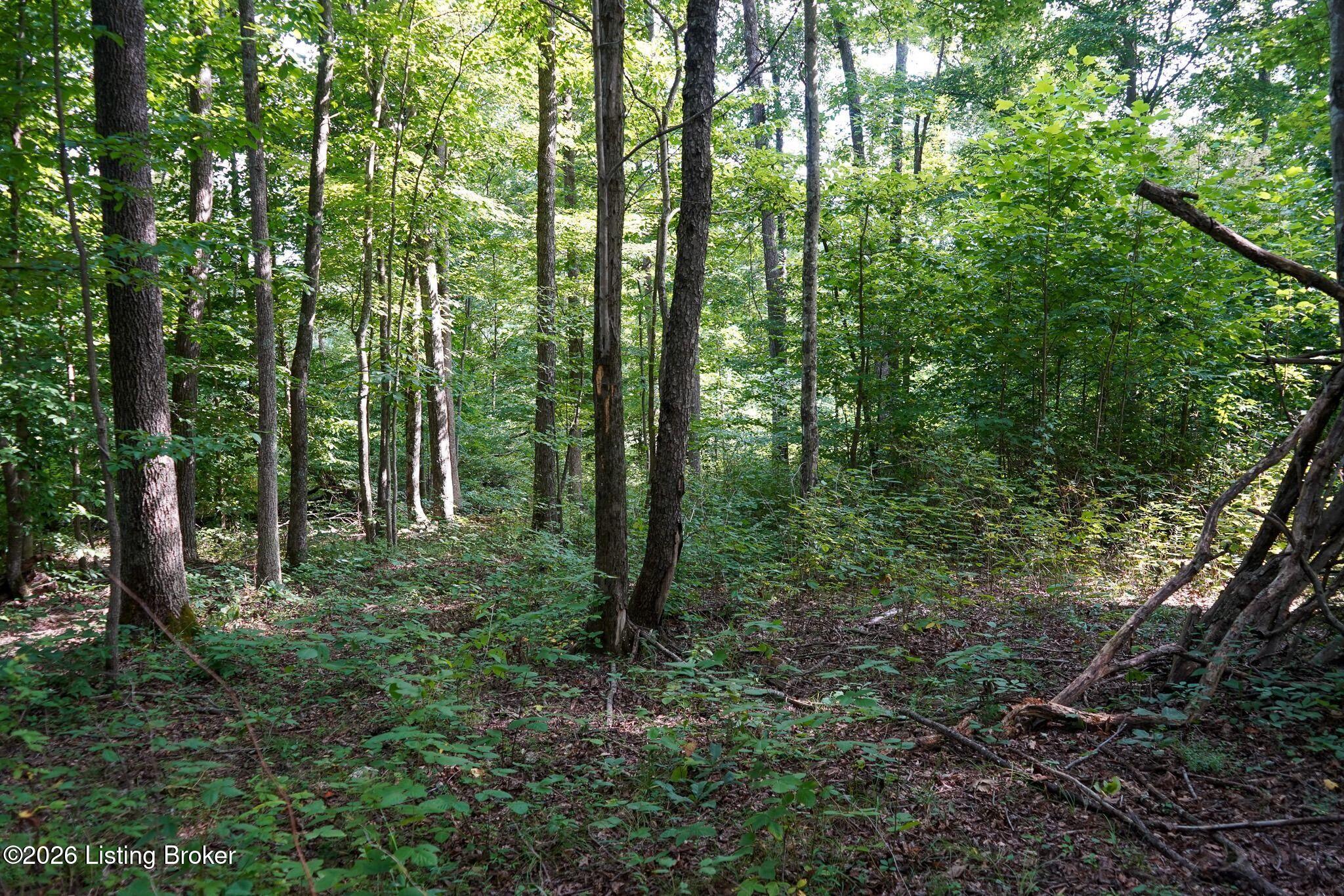 0 865 Hwy Property Photo 46
