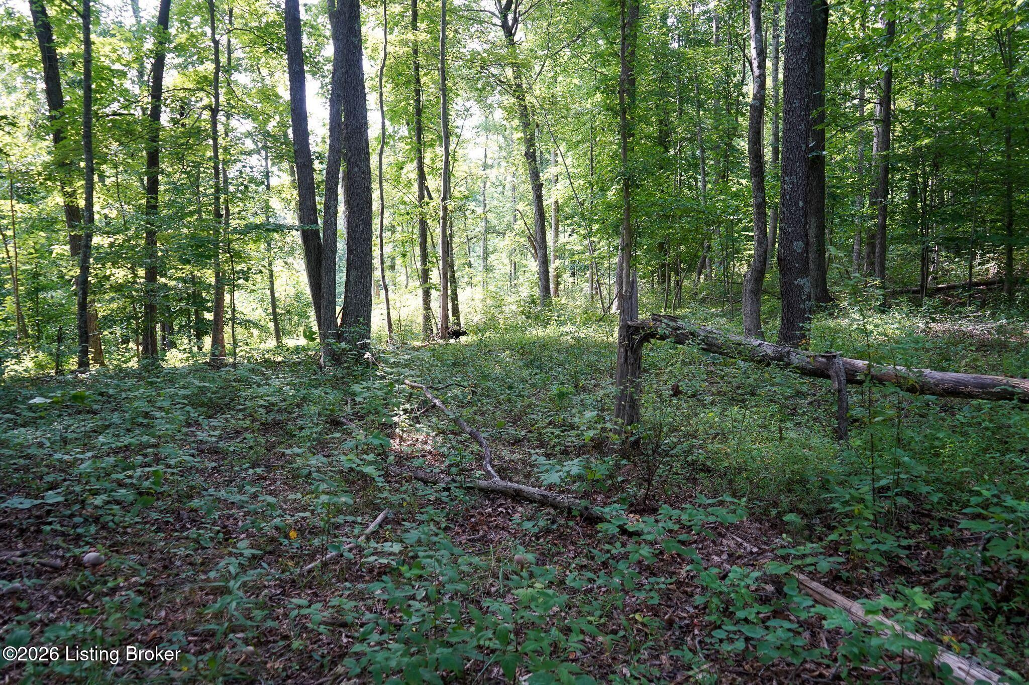 0 865 Hwy Property Photo 47