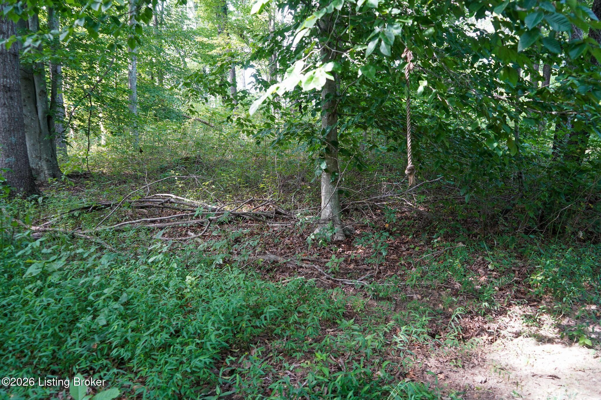 0 865 Hwy Property Photo 48