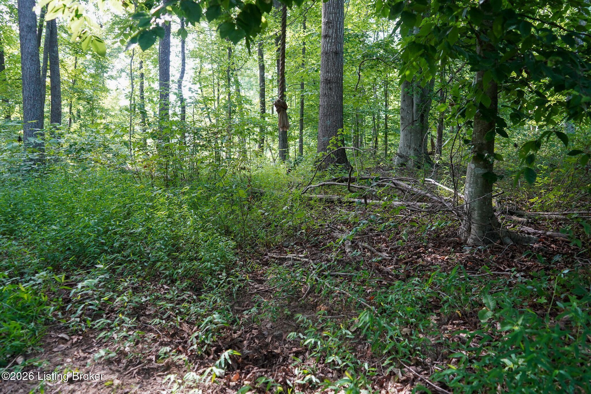 0 865 Hwy Property Photo 49
