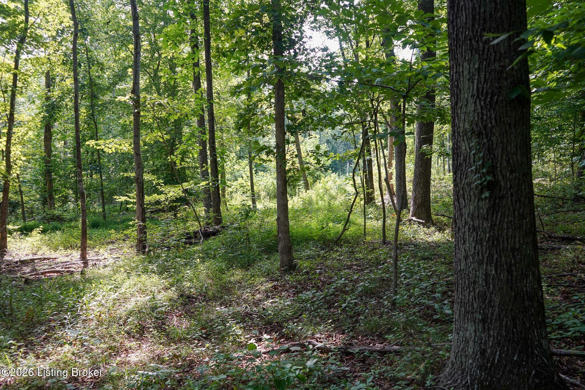 0 865 Hwy Property Photo 50
