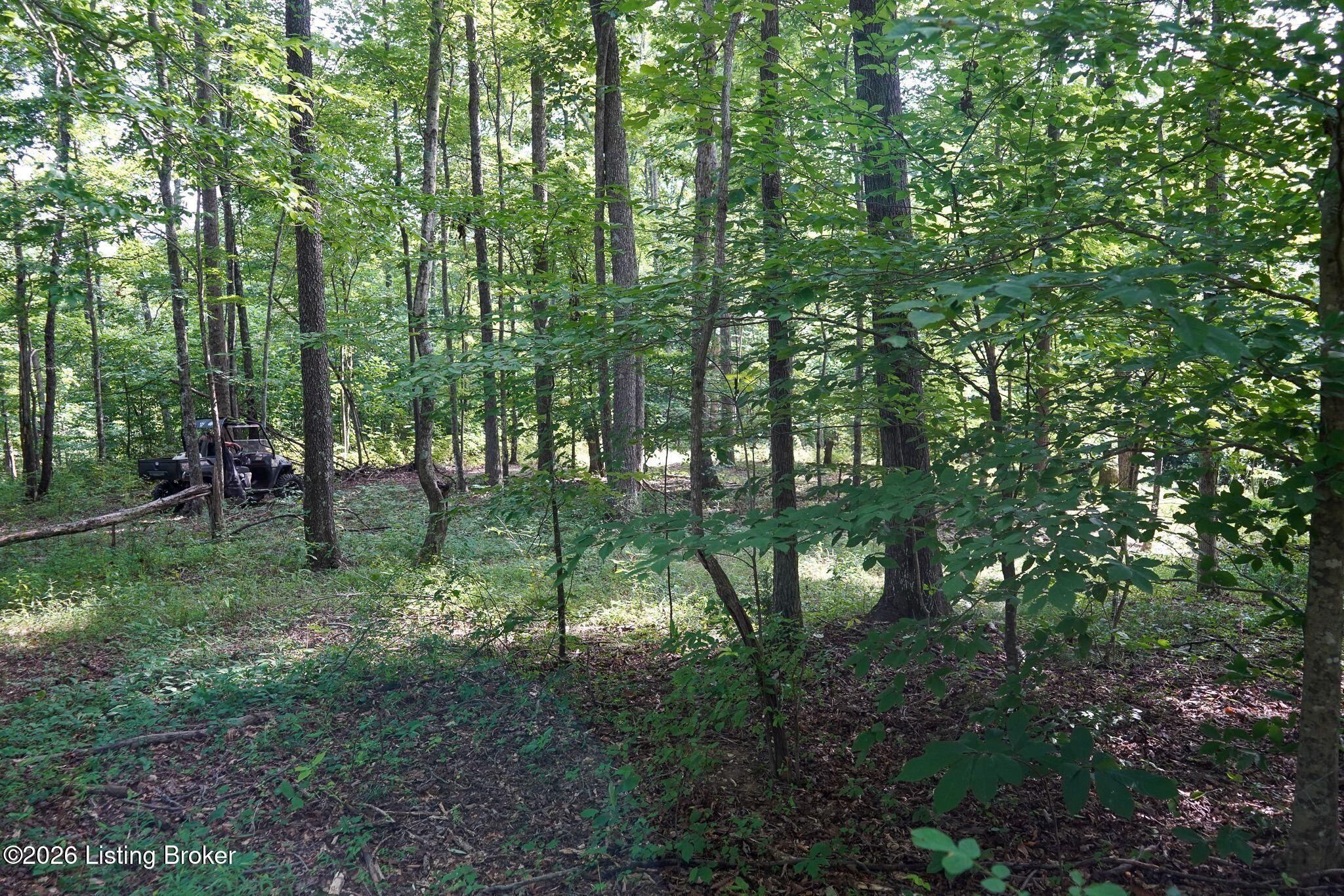0 865 Hwy Property Photo 51