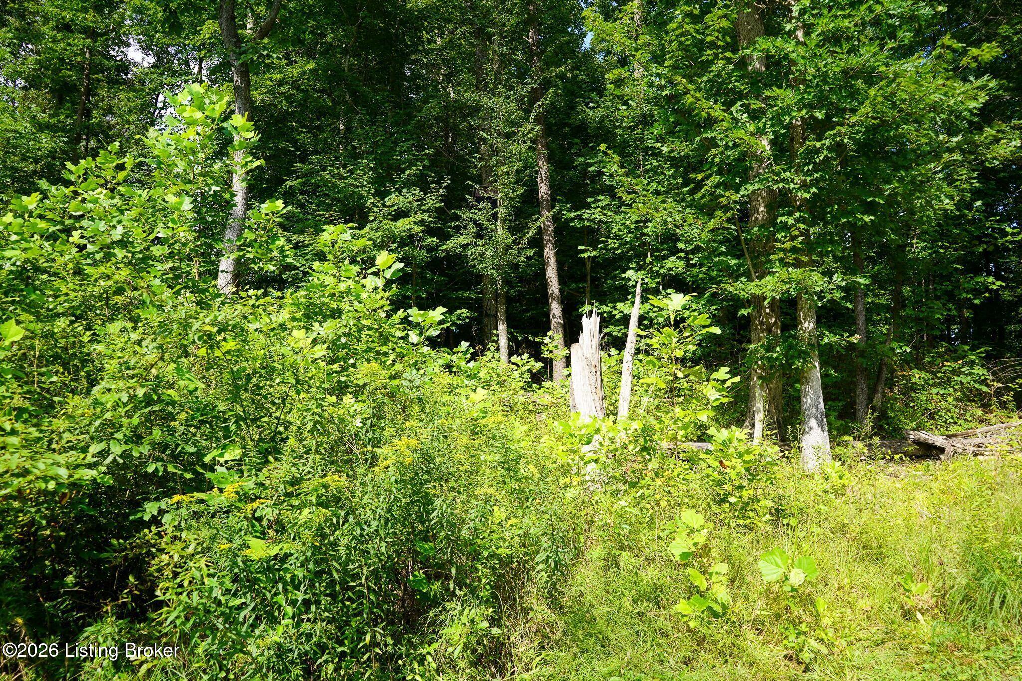 0 865 Hwy Property Photo 58