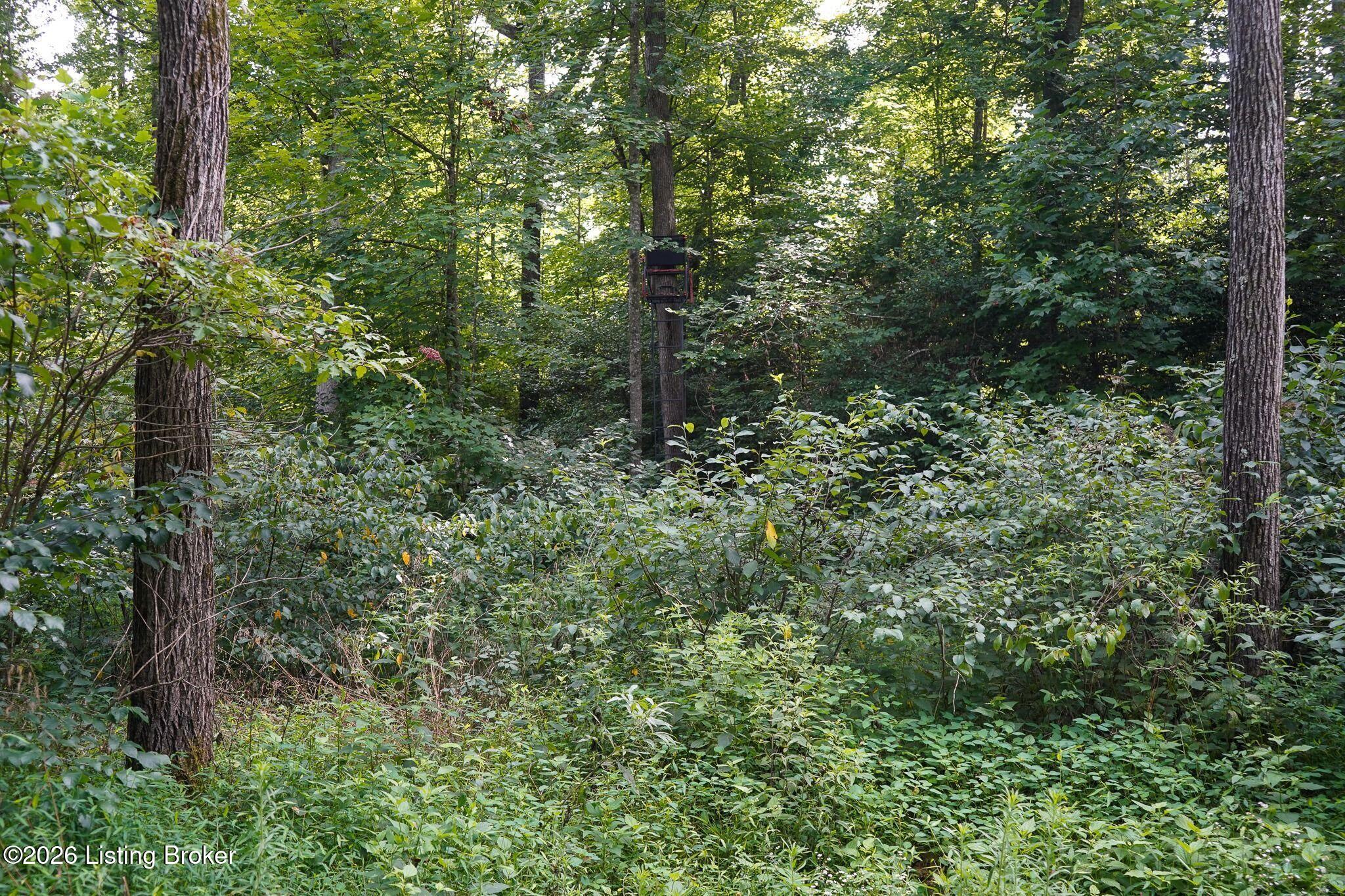 0 865 Hwy Property Photo 60