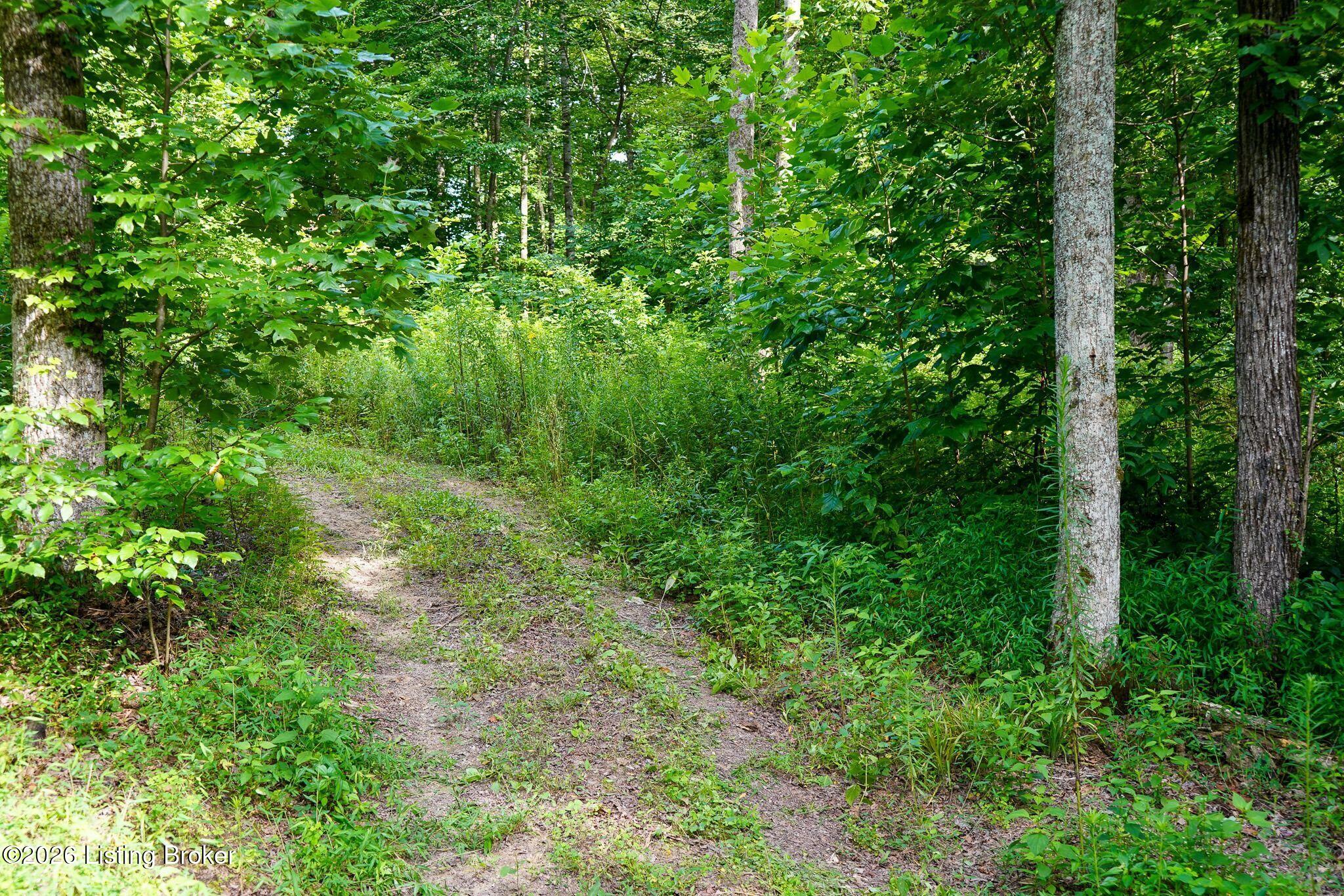 0 865 Hwy Property Photo 61