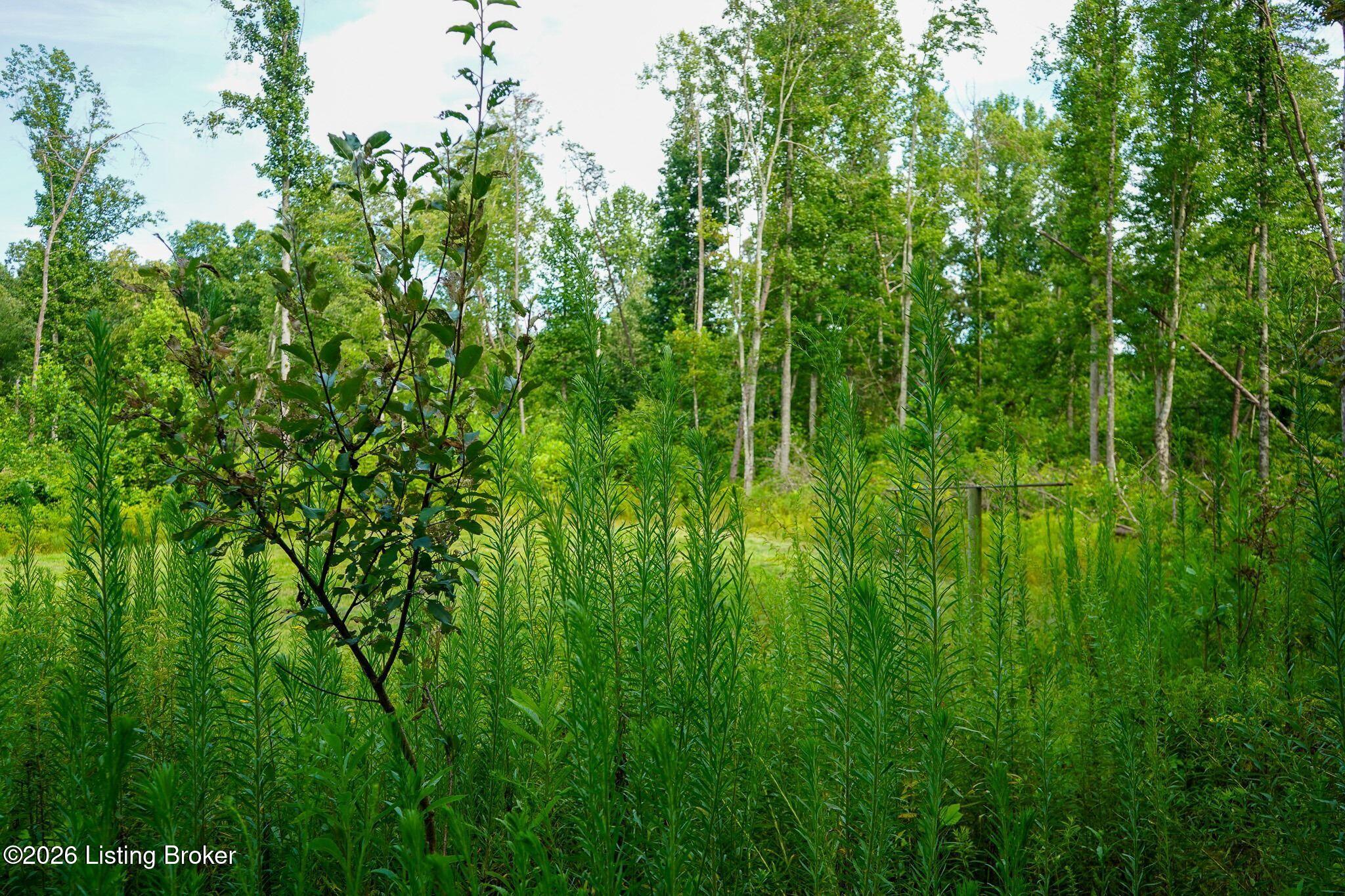 0 865 Hwy Property Photo 62