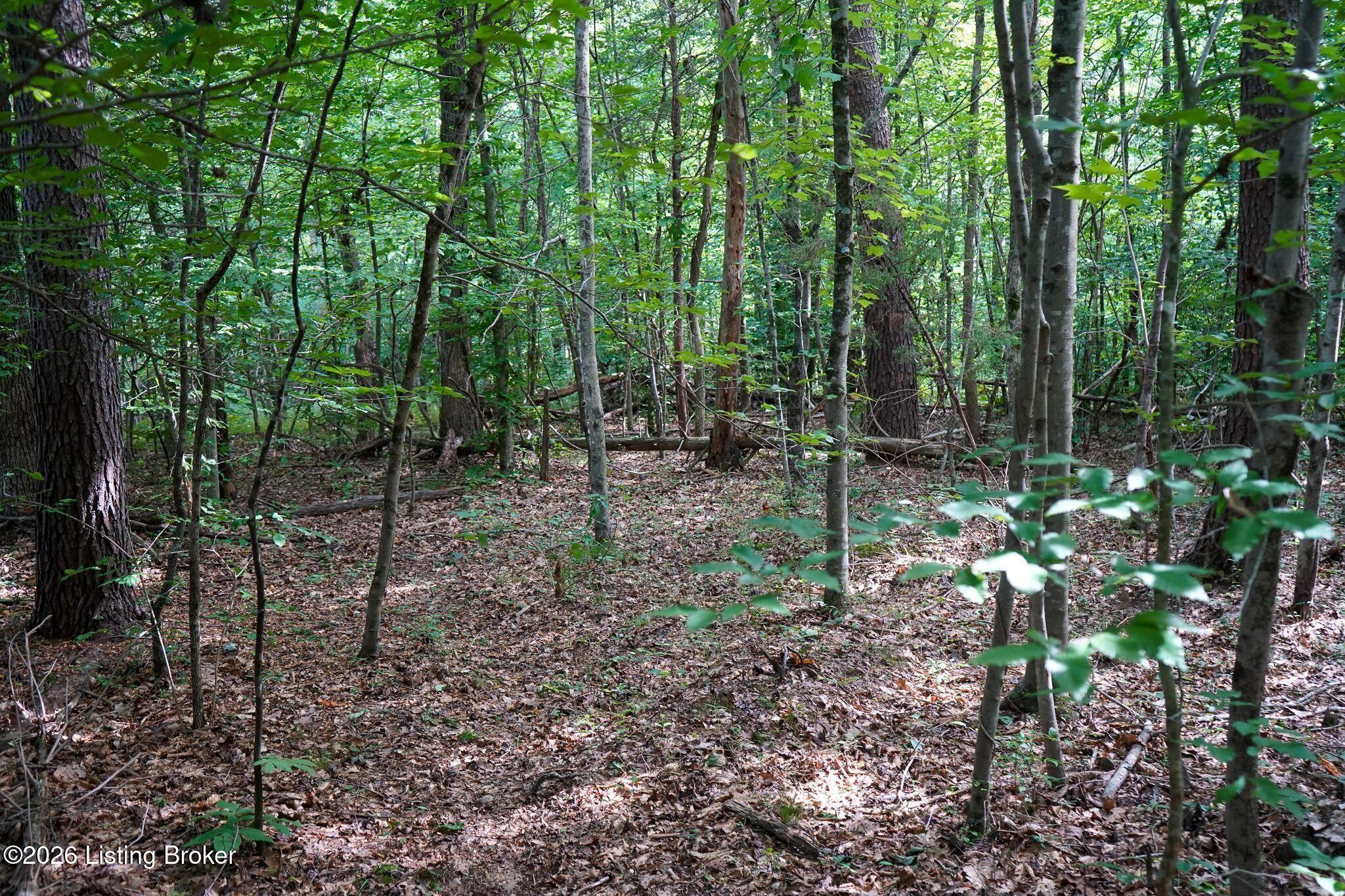 0 865 Hwy Property Photo 65