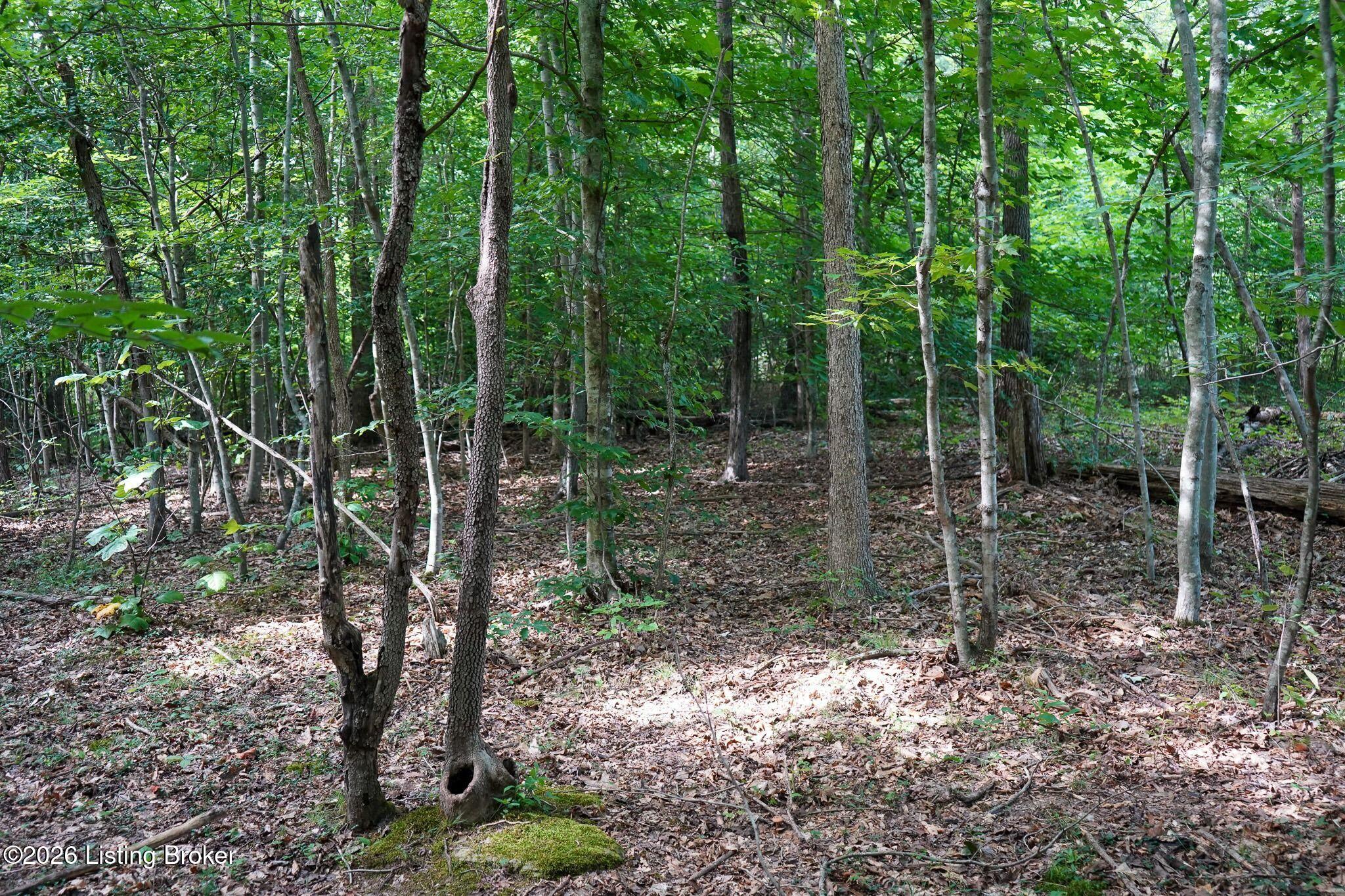 0 865 Hwy Property Photo 66