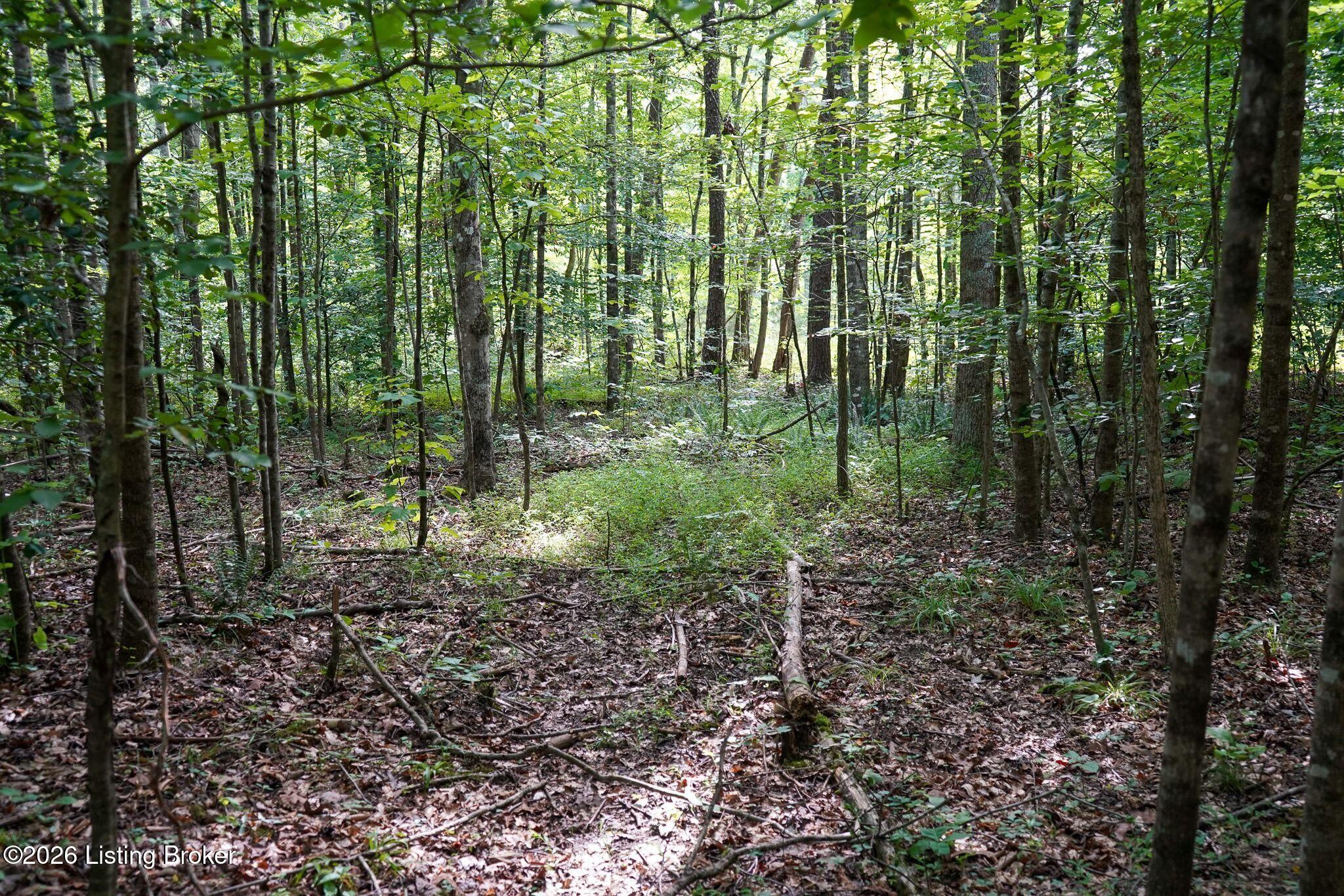 0 865 Hwy Property Photo 67