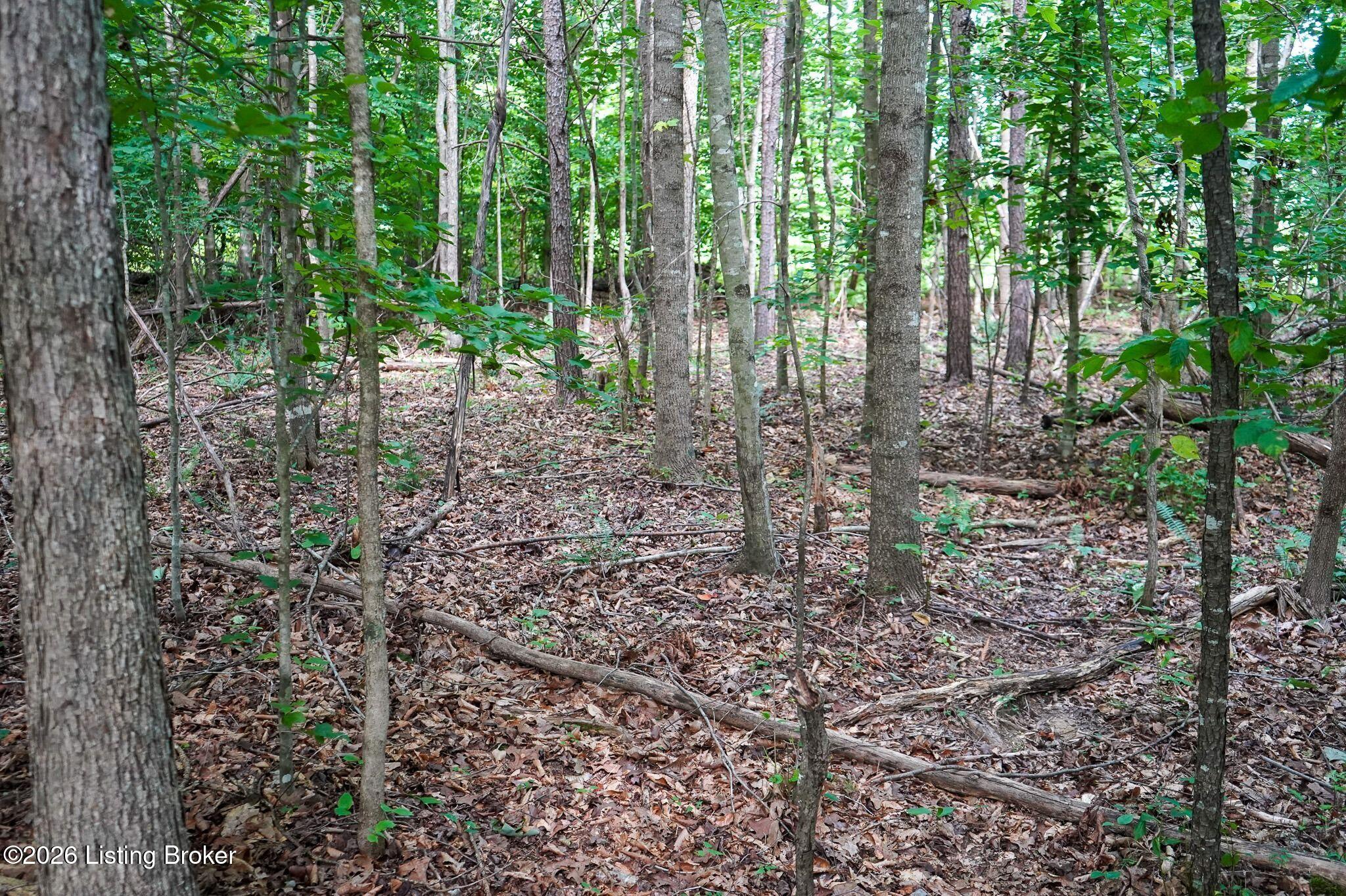 0 865 Hwy Property Photo 68