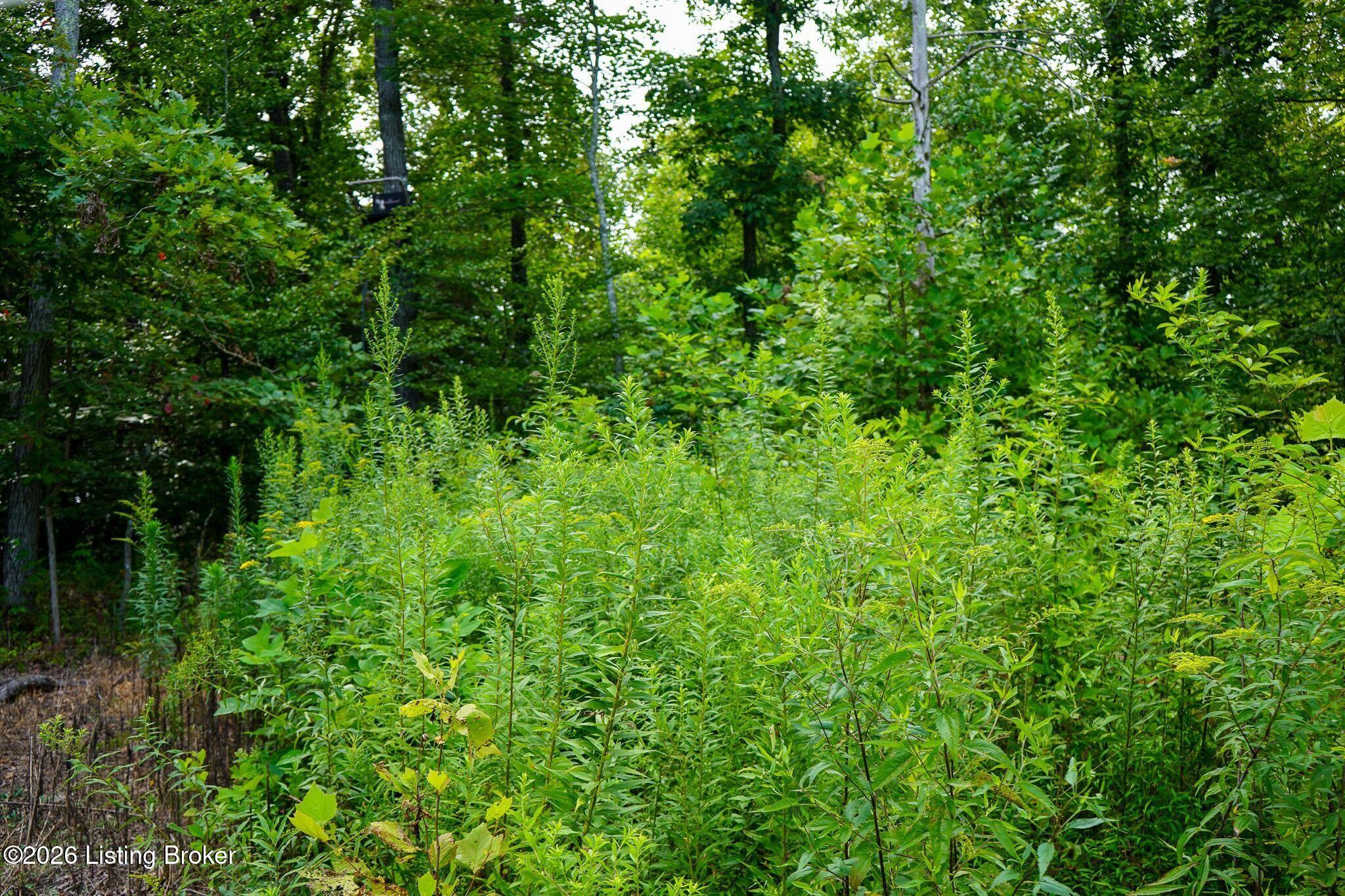 0 865 Hwy Property Photo 70