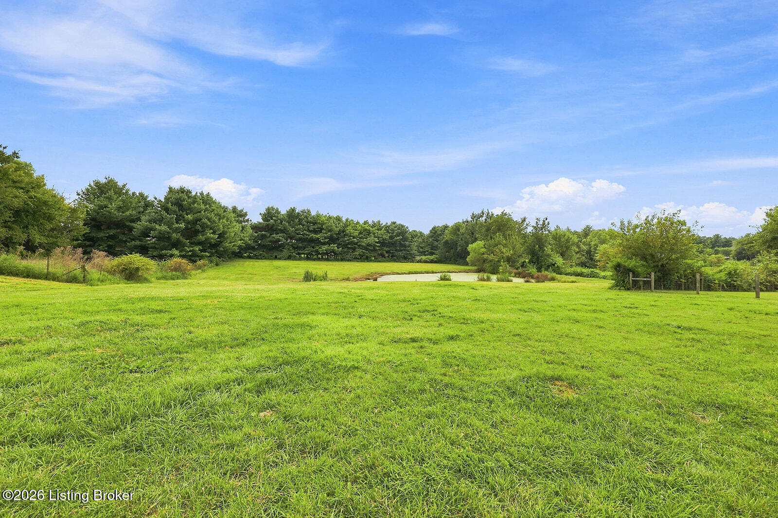 7049 Benson Pike Property Photo 100