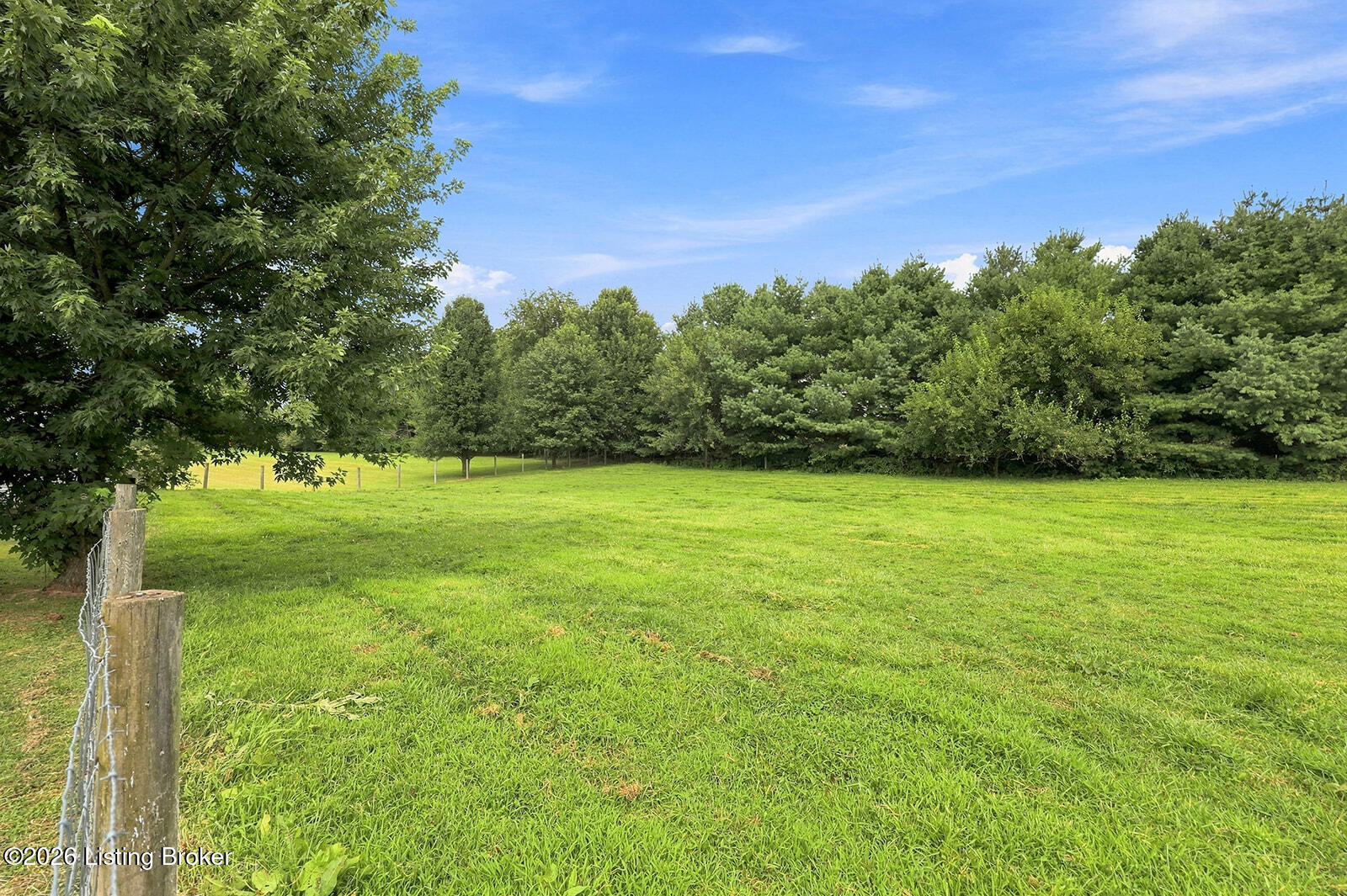 7049 Benson Pike Property Photo 104