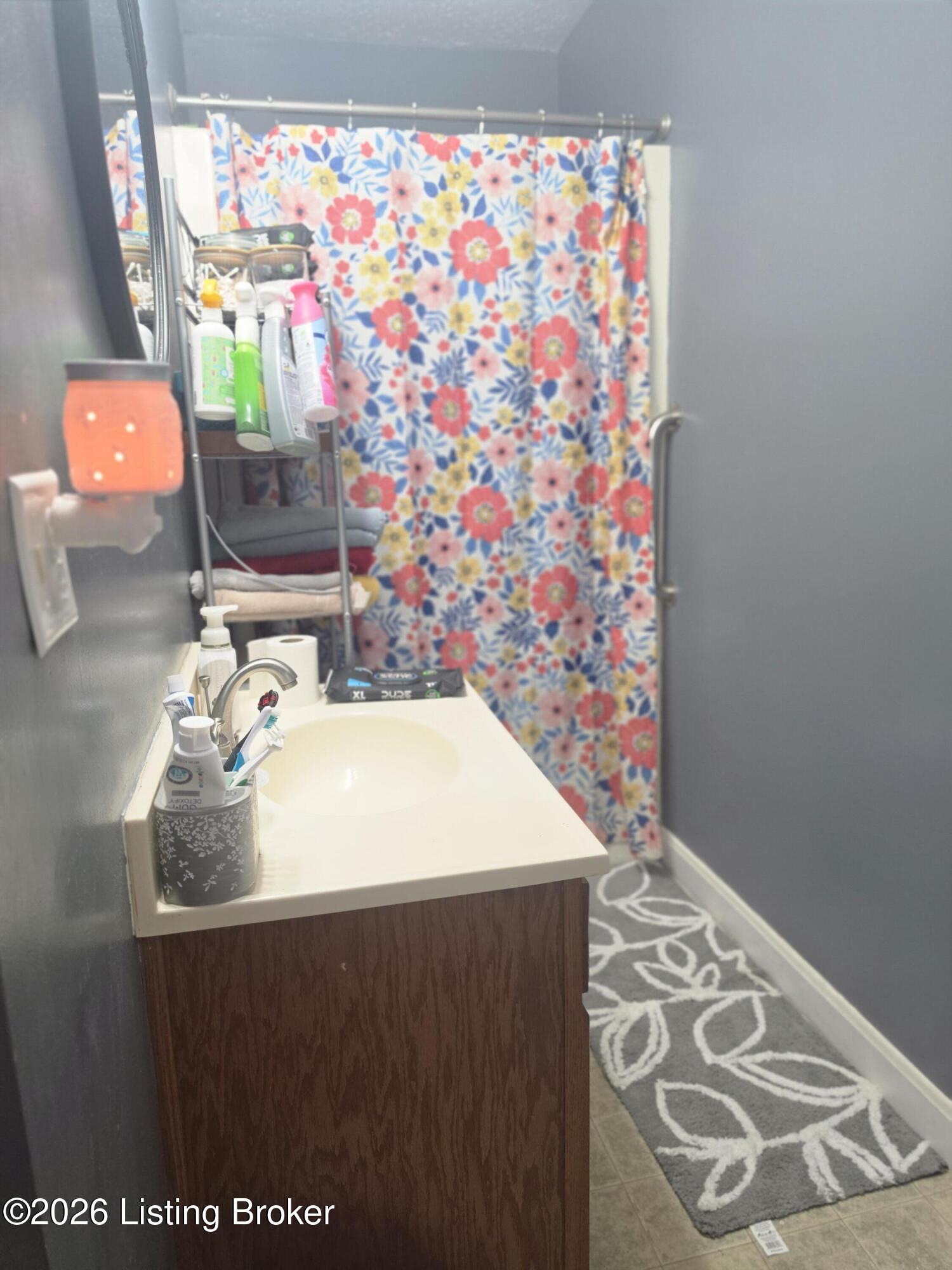 311 Howard St Property Photo 18
