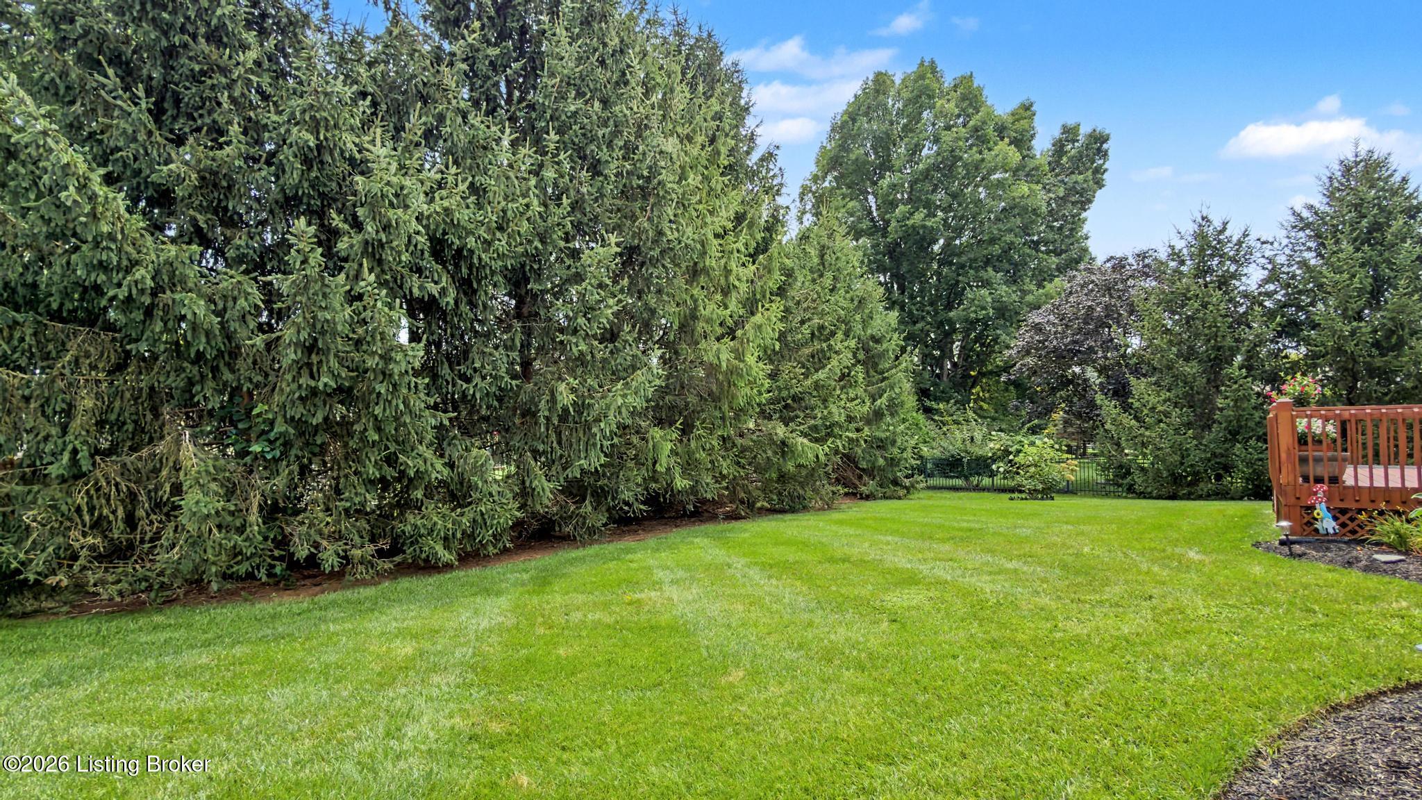 8803 Summit Ridge Dr Property Photo 56