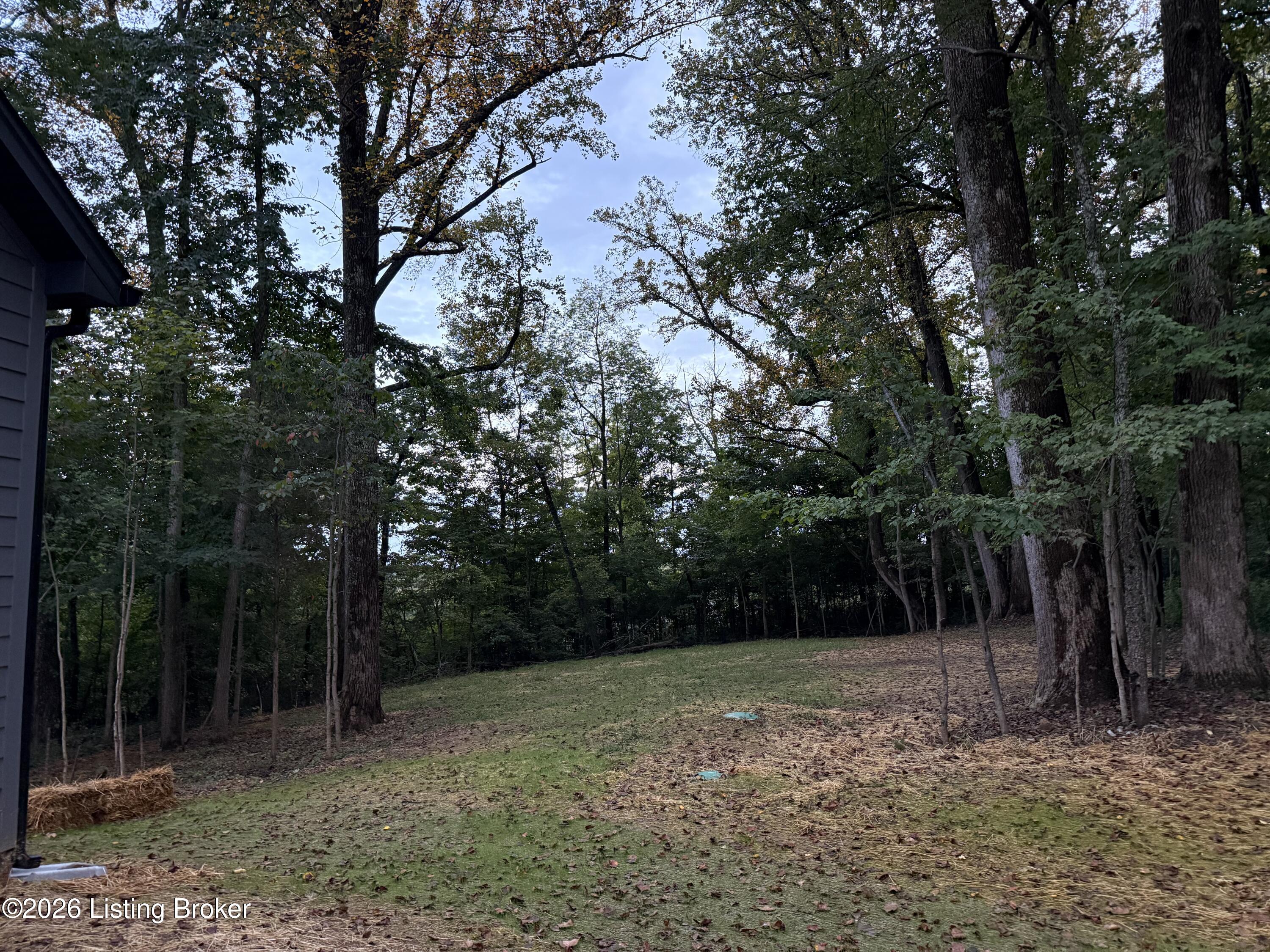 5307 Sycamore Ridge Ln Property Photo 20