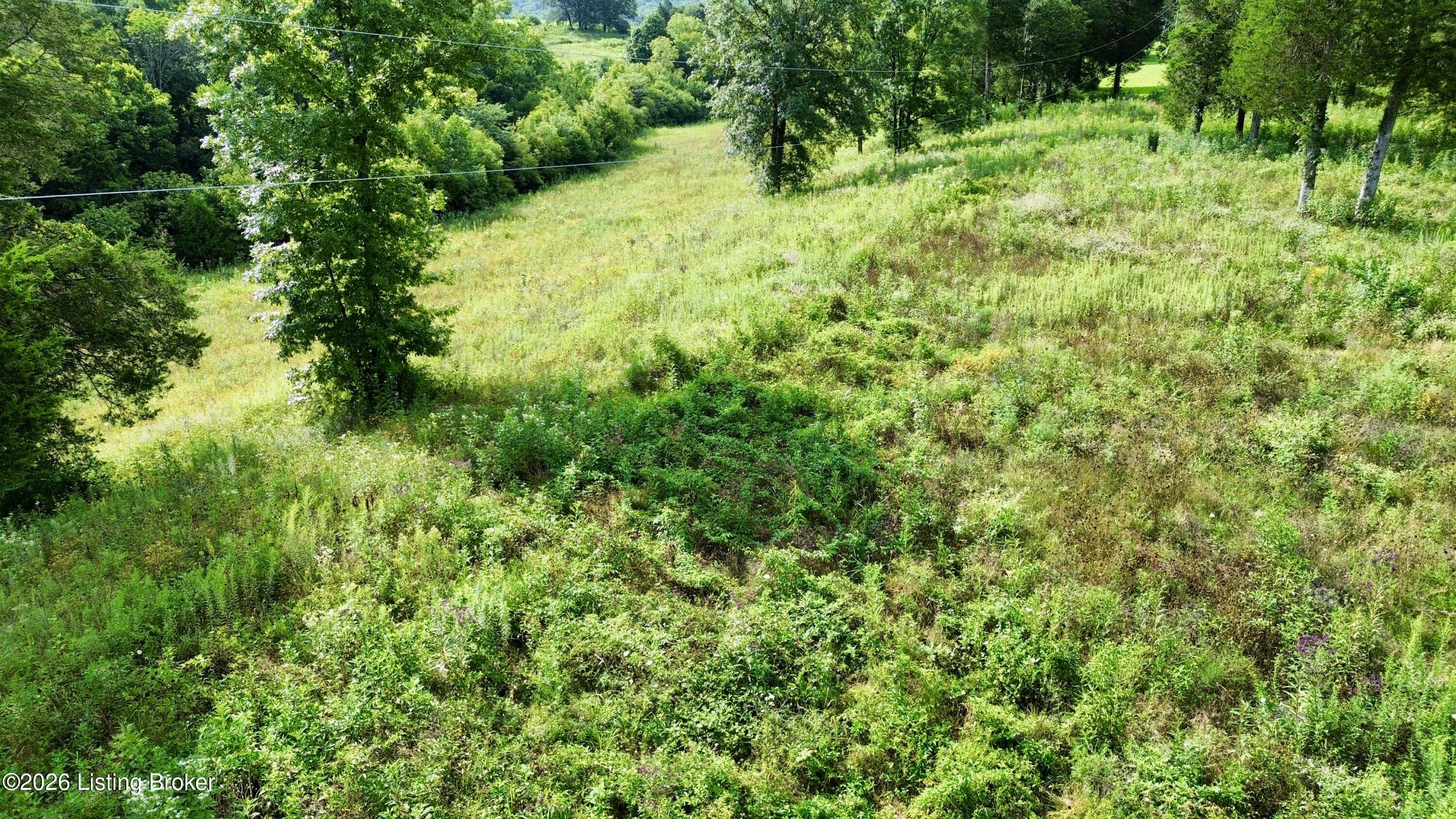 6 Hackberry Ln Property Photo 15