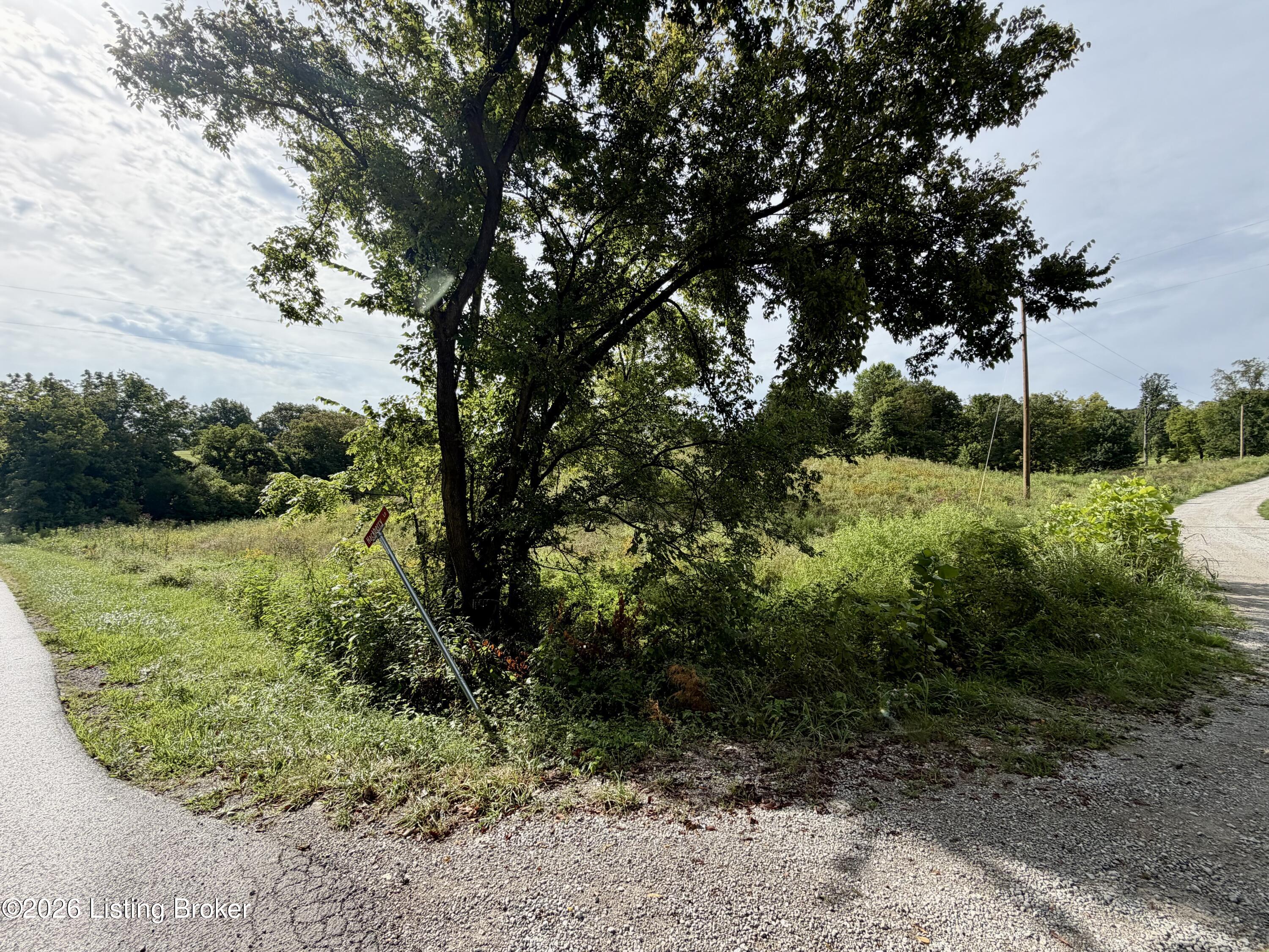 6 Hackberry Ln Property Photo 19
