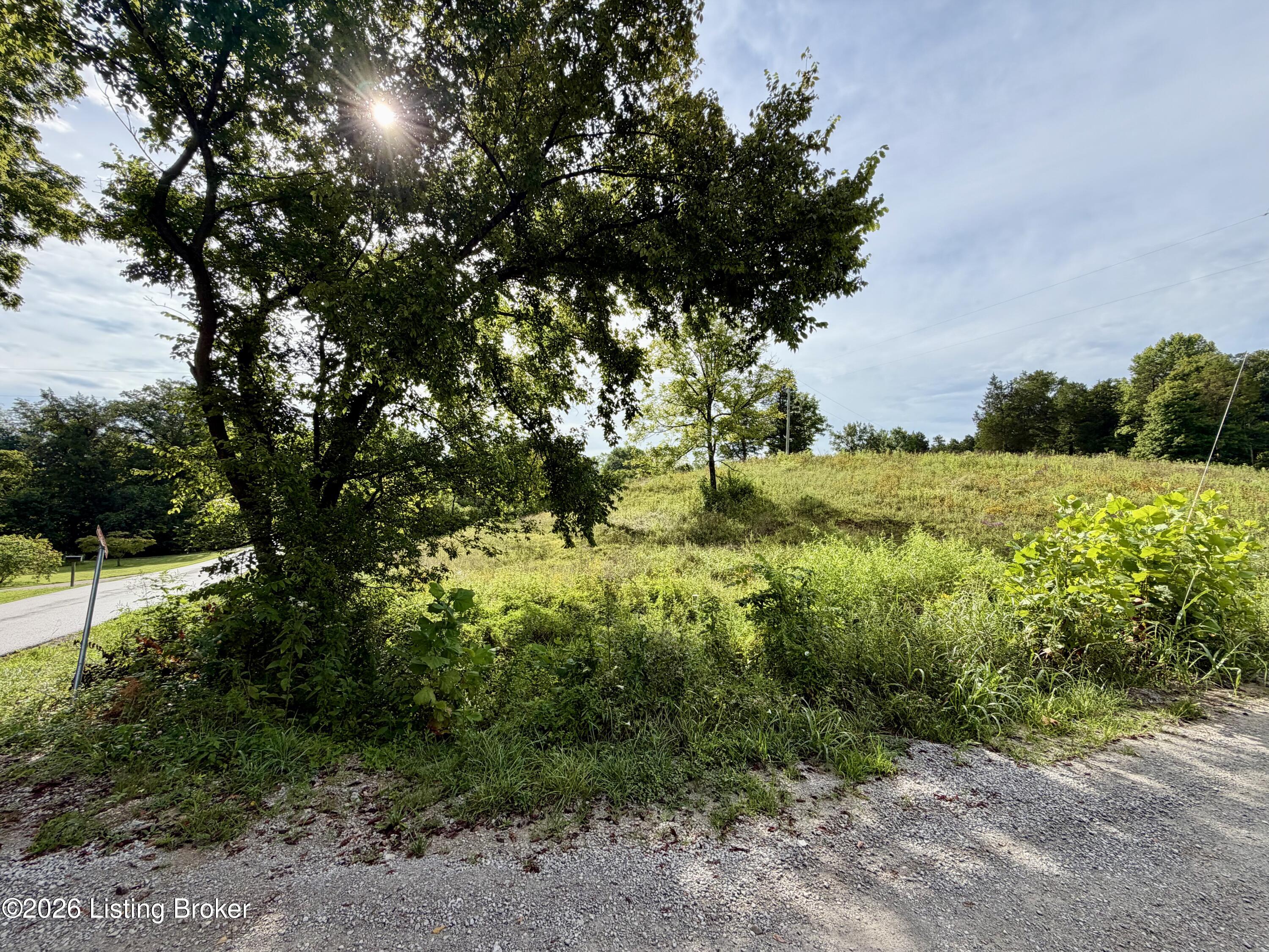 6 Hackberry Ln Property Photo 20