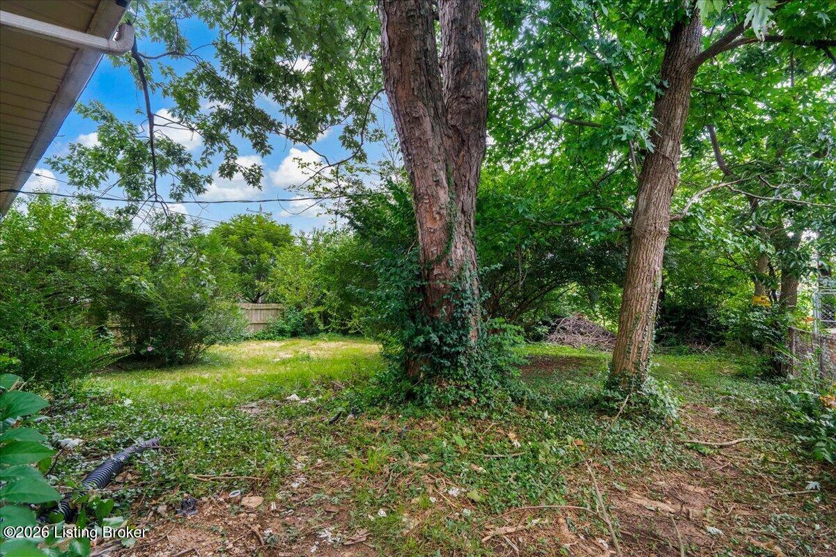 1417 Dale Dr Property Photo 5