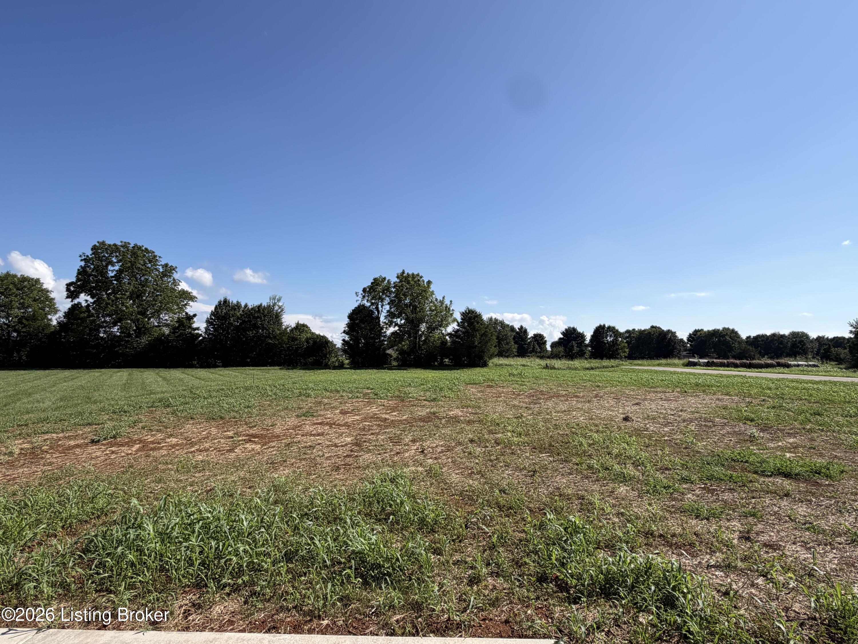 118 Southfork Trail Property Photo 31