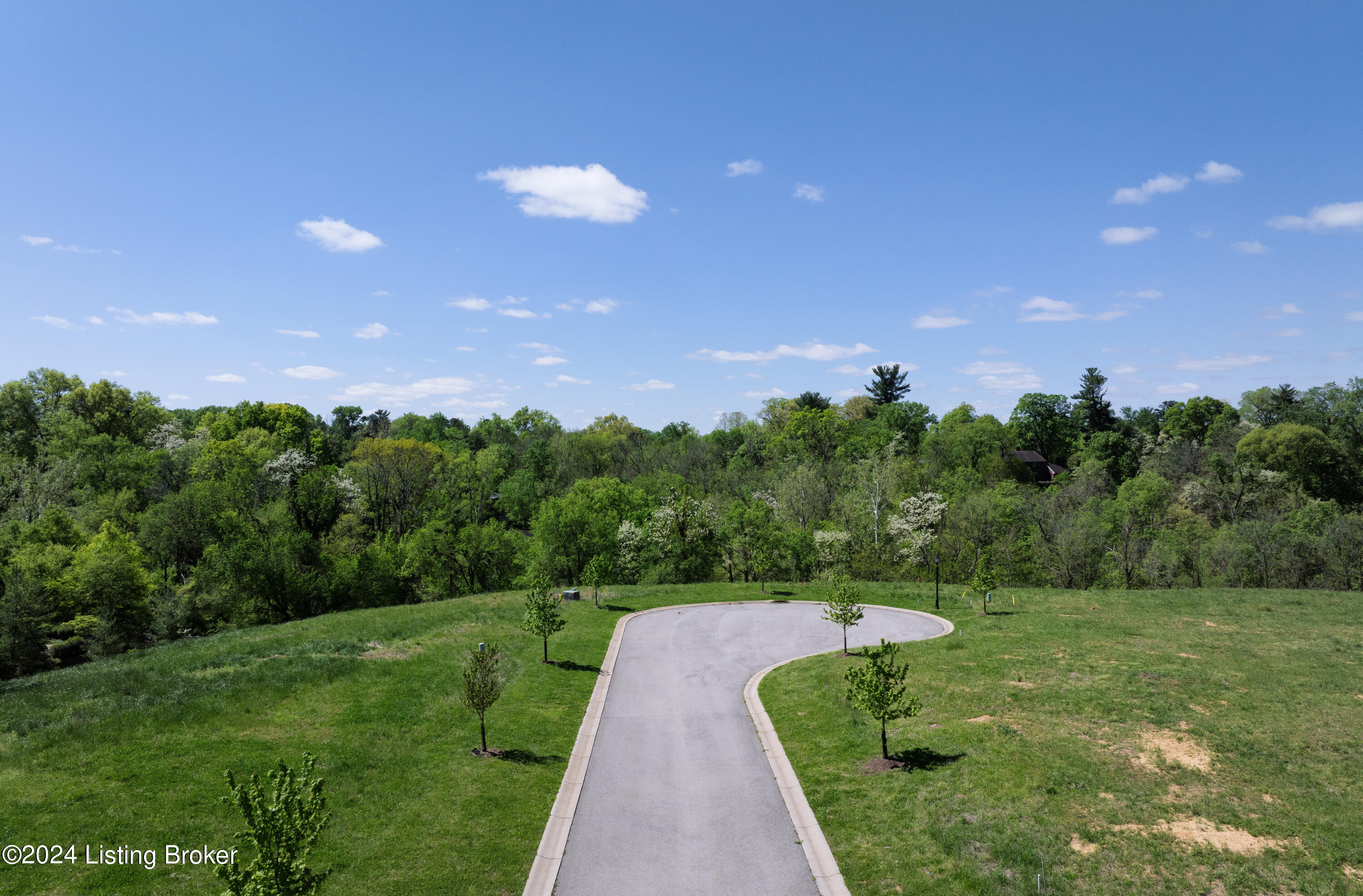 2305 Clovelly Springs Ct Property Photo 4