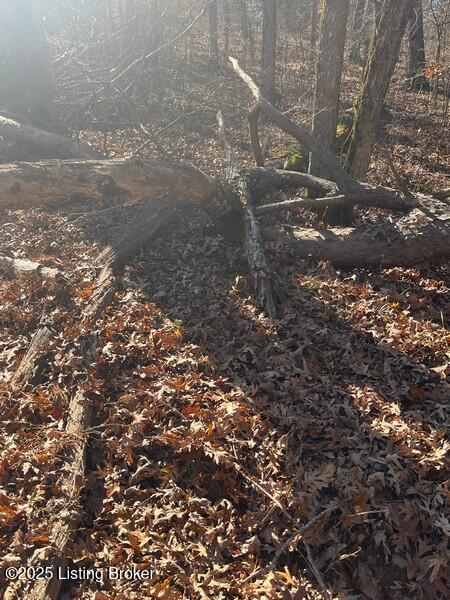 L32 Ted Logsdon Property Photo 4