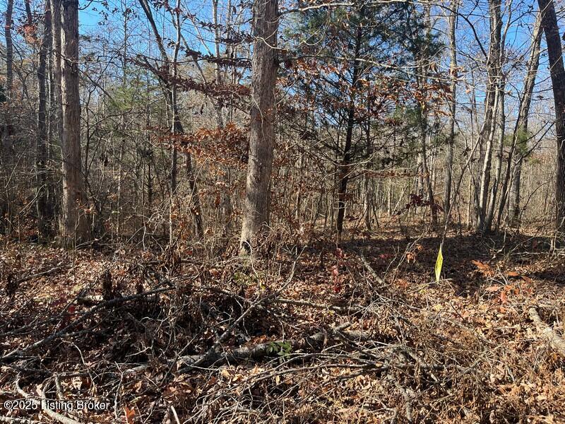 L32 Ted Logsdon Property Photo 5