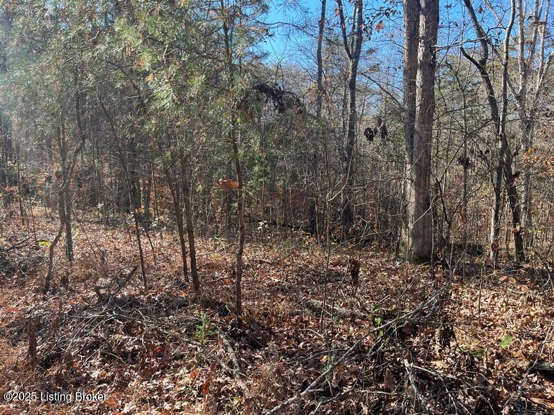 L32 Ted Logsdon Property Photo 7