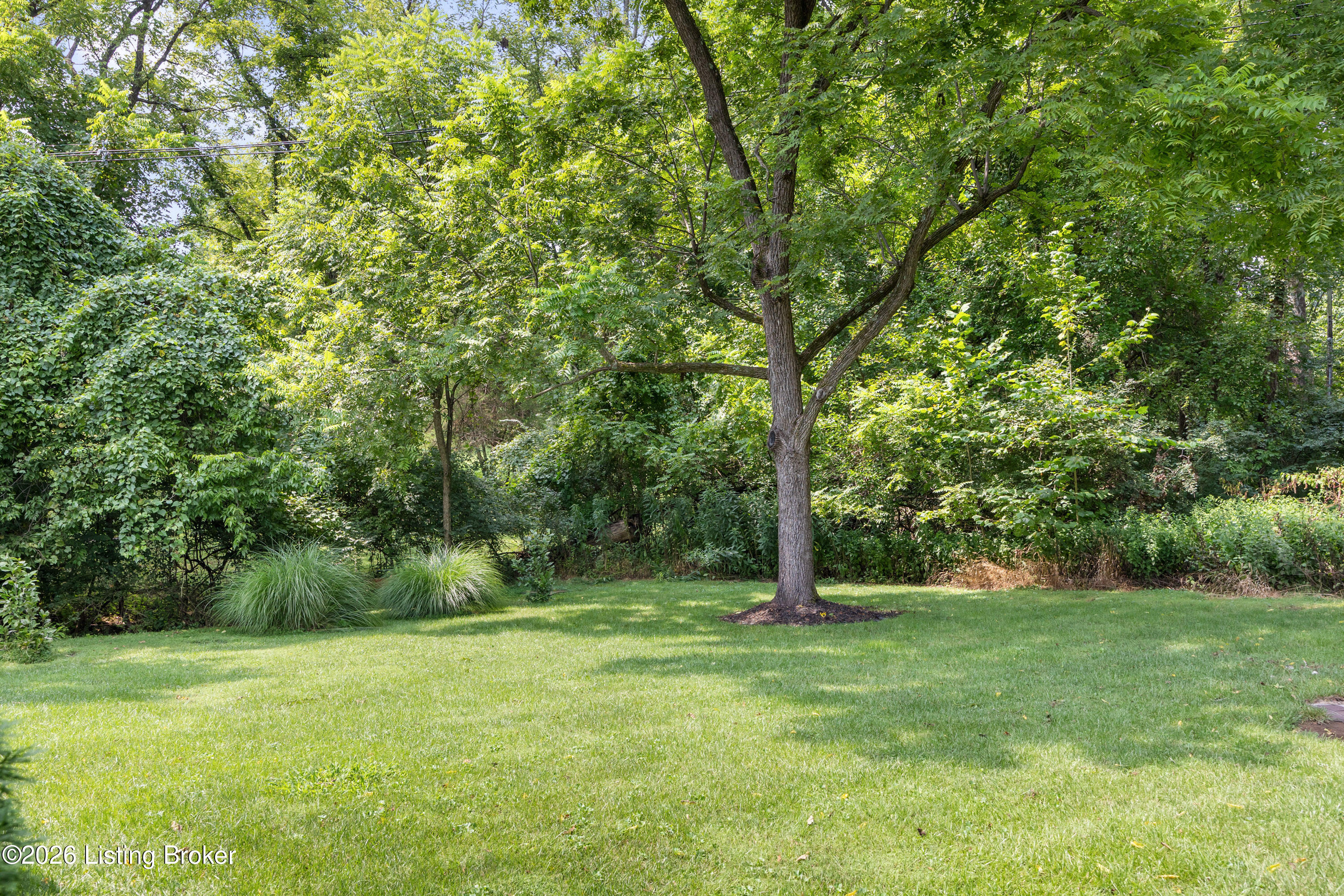 3501 Locust Ct Property Photo 45