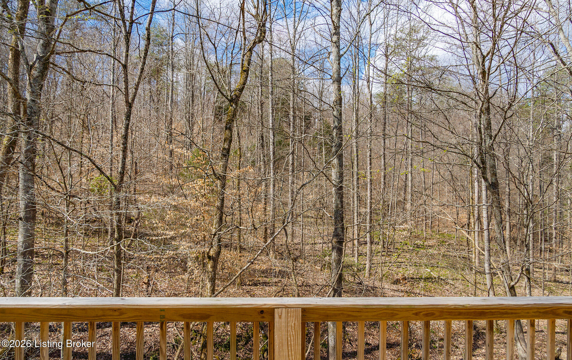 241 Whippoorwill Way Property Photo 60