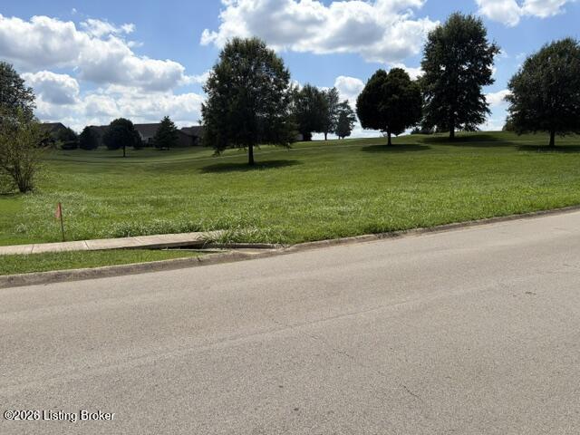 Lot 75 Remington Dr Property Photo 2