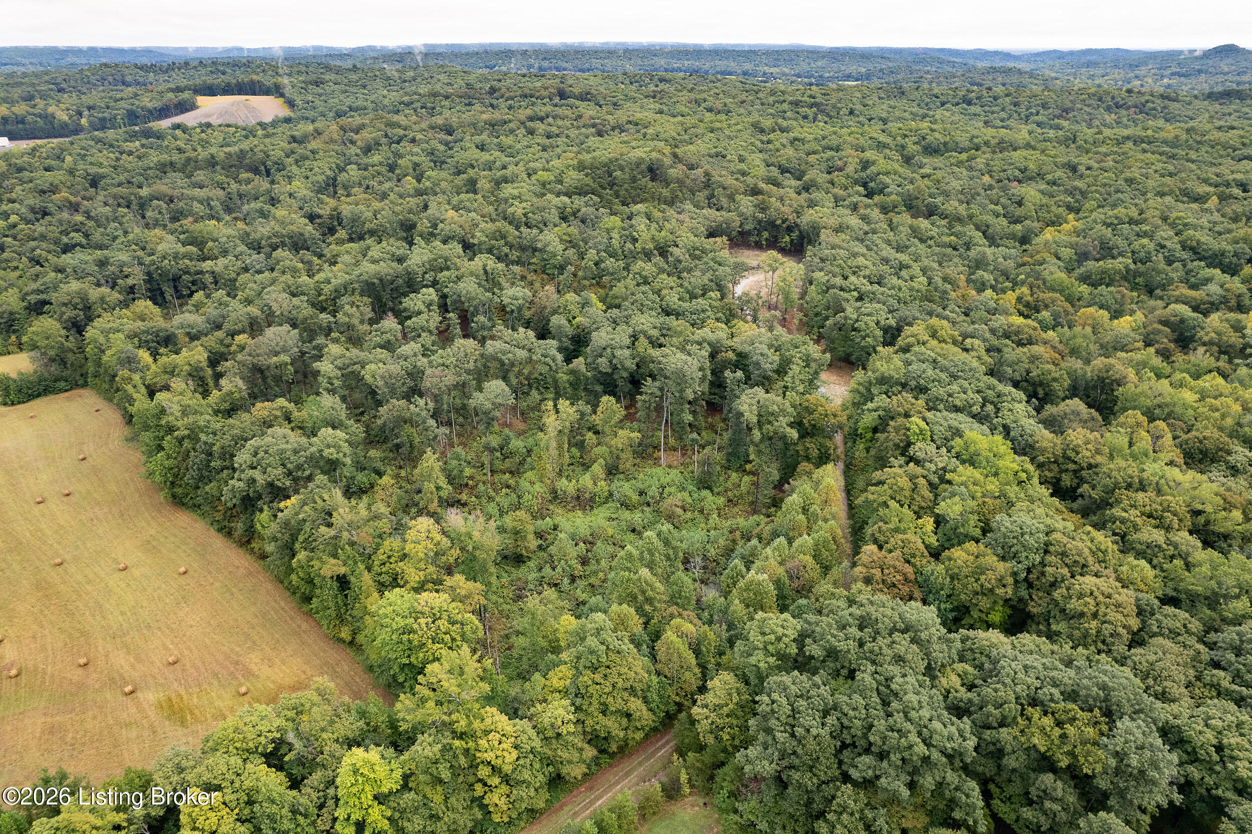 550 Wilson Creek Rd Property Photo 2