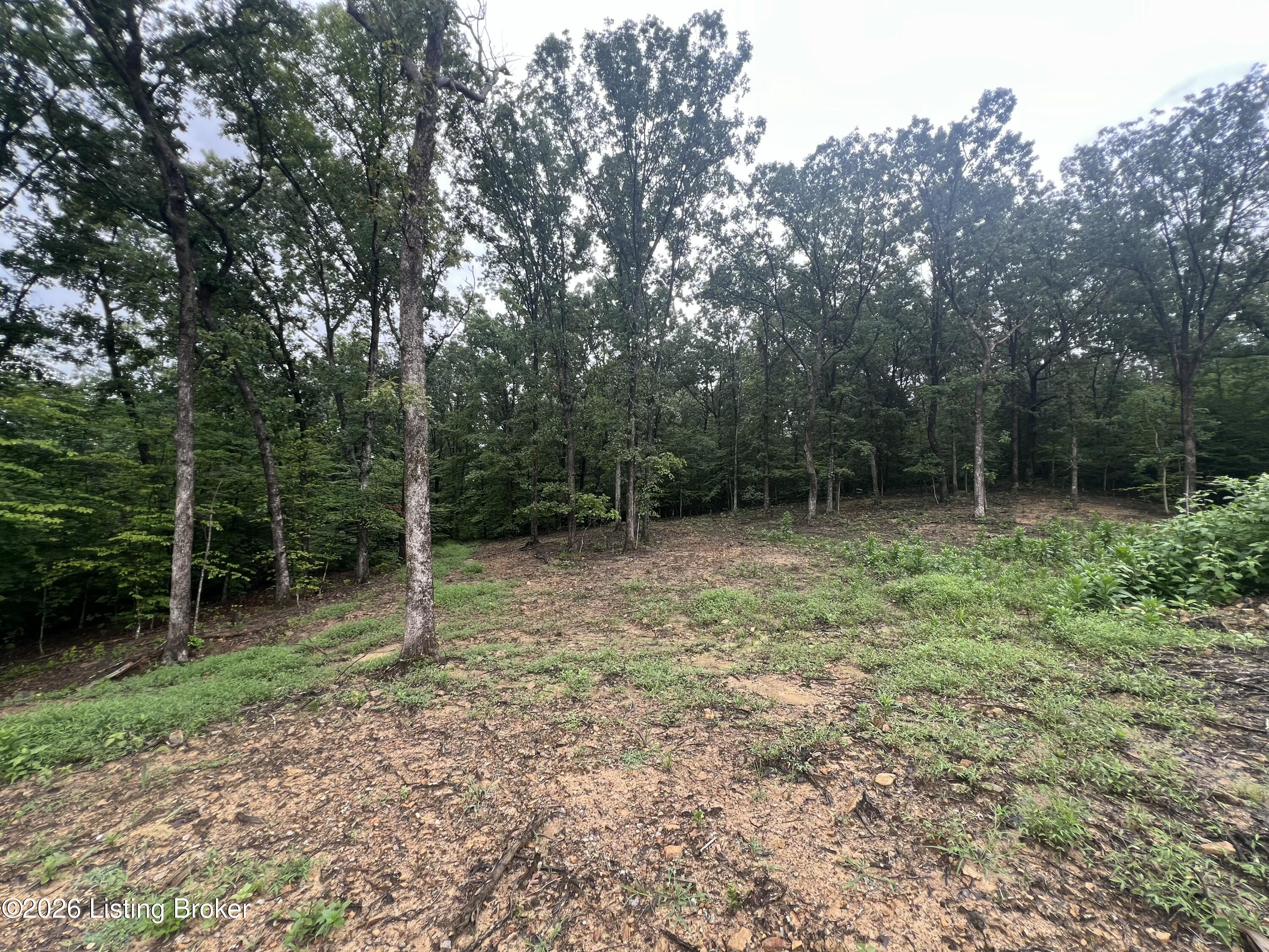 550 Wilson Creek Rd Property Photo 5